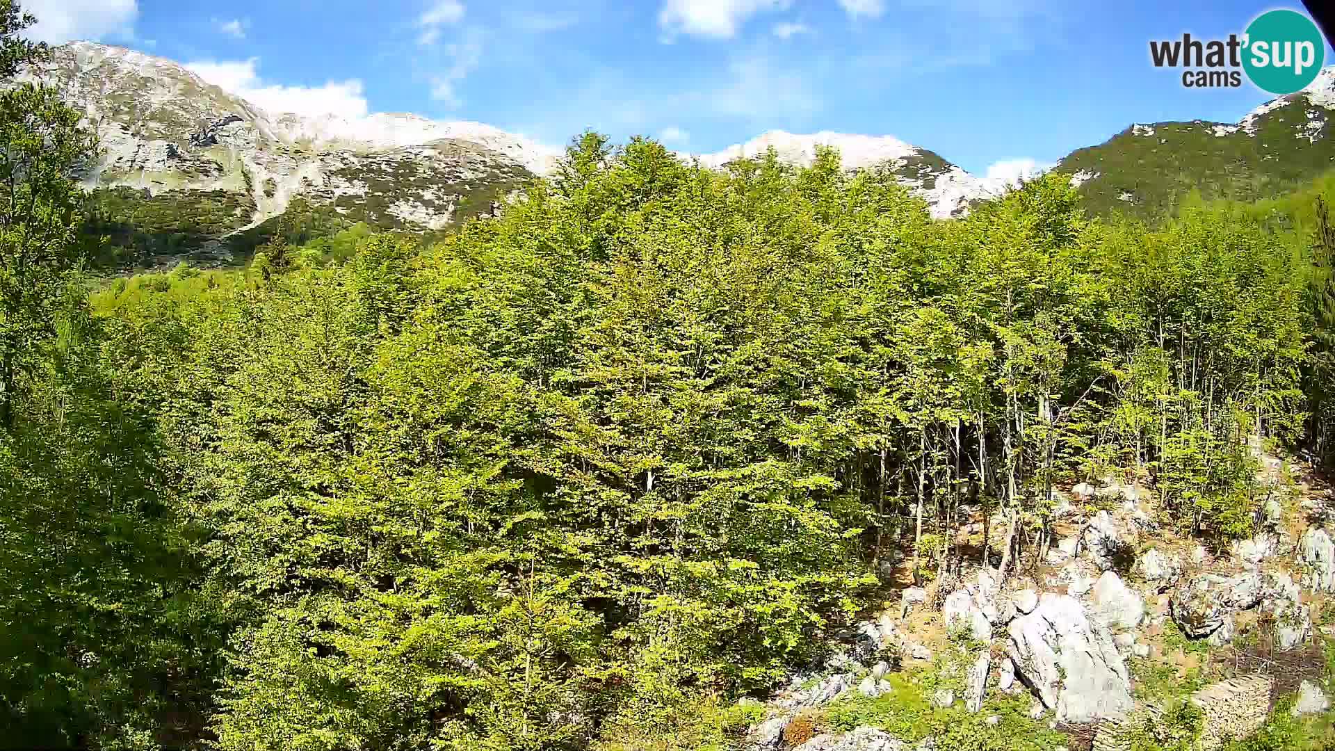 Livecam PLANINA RAZOR (1315) | vue sur Vogel et Globoko