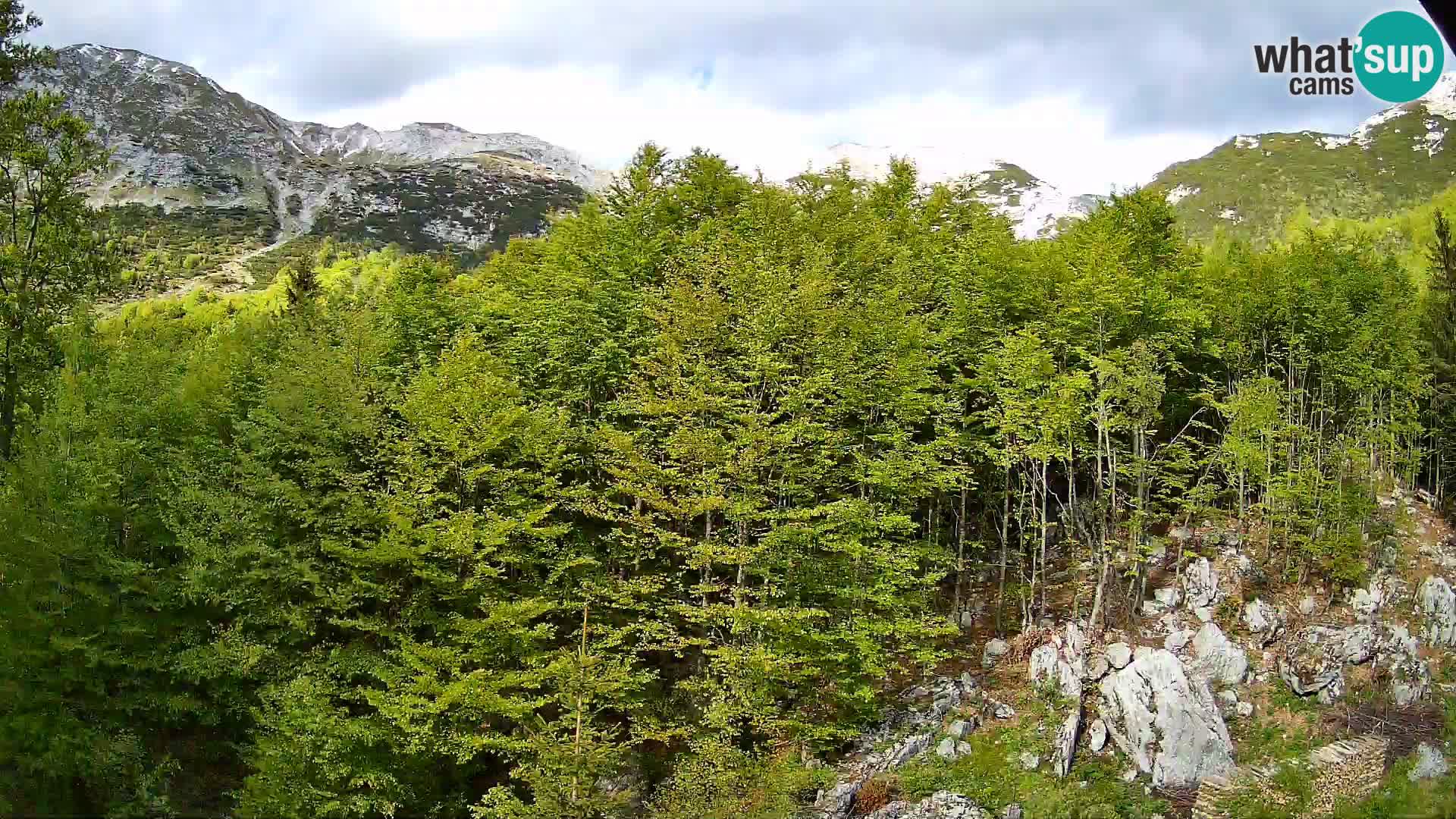 PLANINA RAZOR web kamera (1315) | pogled na Vogel i Globoko