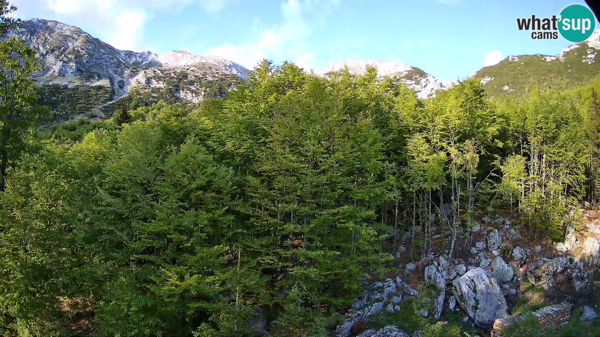 PLANINA RAZOR web kamera (1315) | pogled na Vogel i Globoko