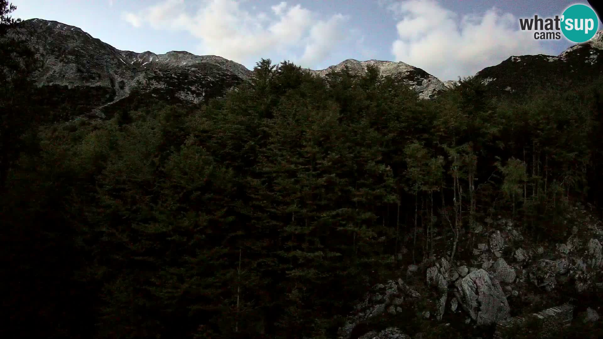 Webcam PLANINA RAZOR (1315) | Blick auf Vogel und Globoko