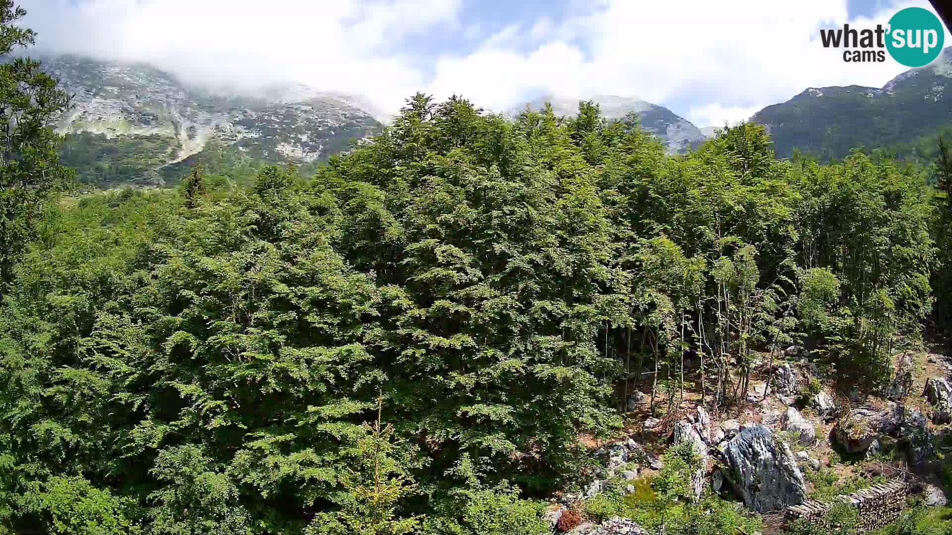 Livecam PLANINA RAZOR (1315) | vue sur Vogel et Globoko