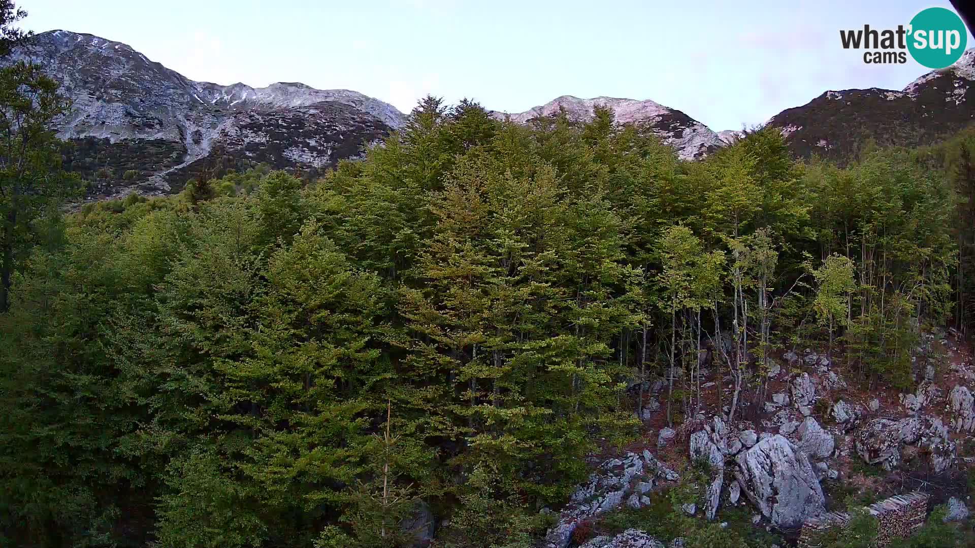 Webcam PLANINA RAZOR (1315) | Blick auf Vogel und Globoko