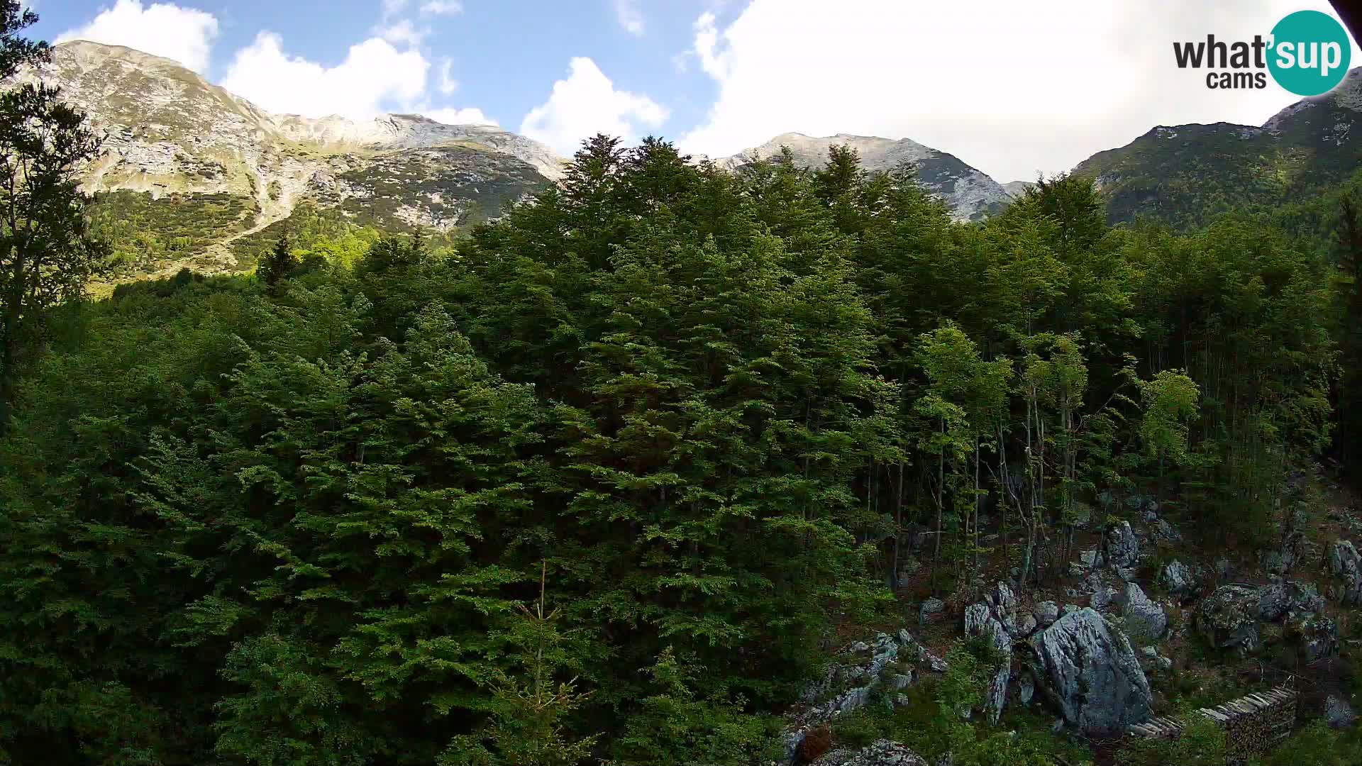 PLANINA RAZOR webcam (1315) | view to Vogel and Globoko