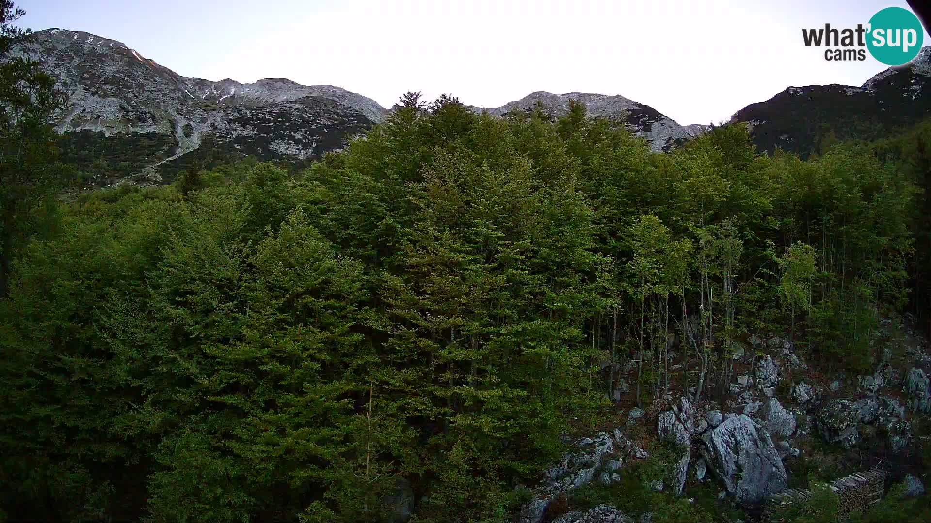 PLANINA RAZOR web kamera (1315) | pogled na Vogel i Globoko