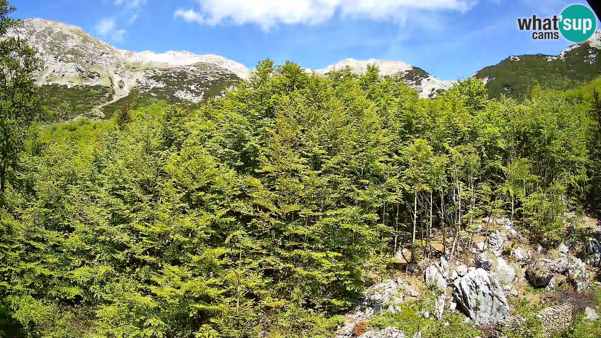 Webcam PLANINA RAZOR (1315) | Blick auf Vogel und Globoko