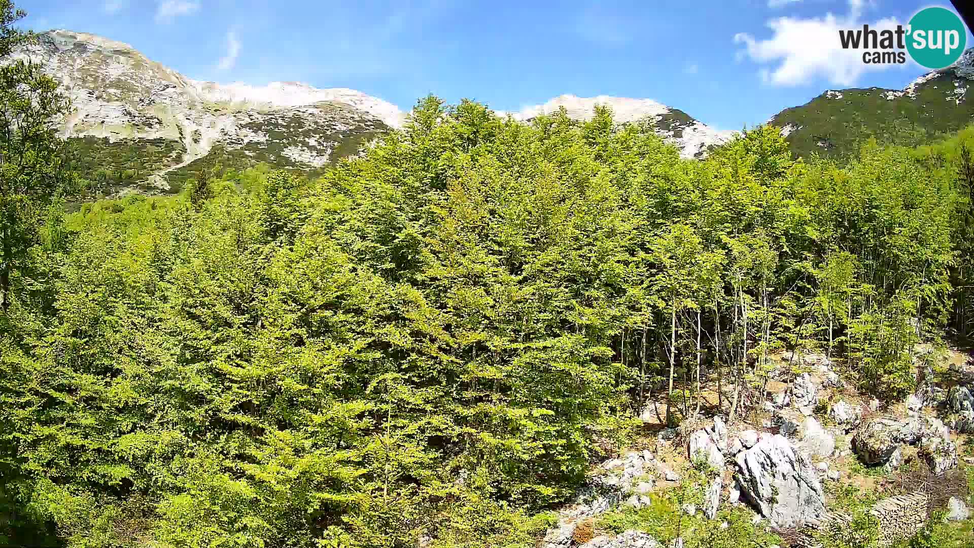 Webcam PLANINA RAZOR (1315) | Blick auf Vogel und Globoko