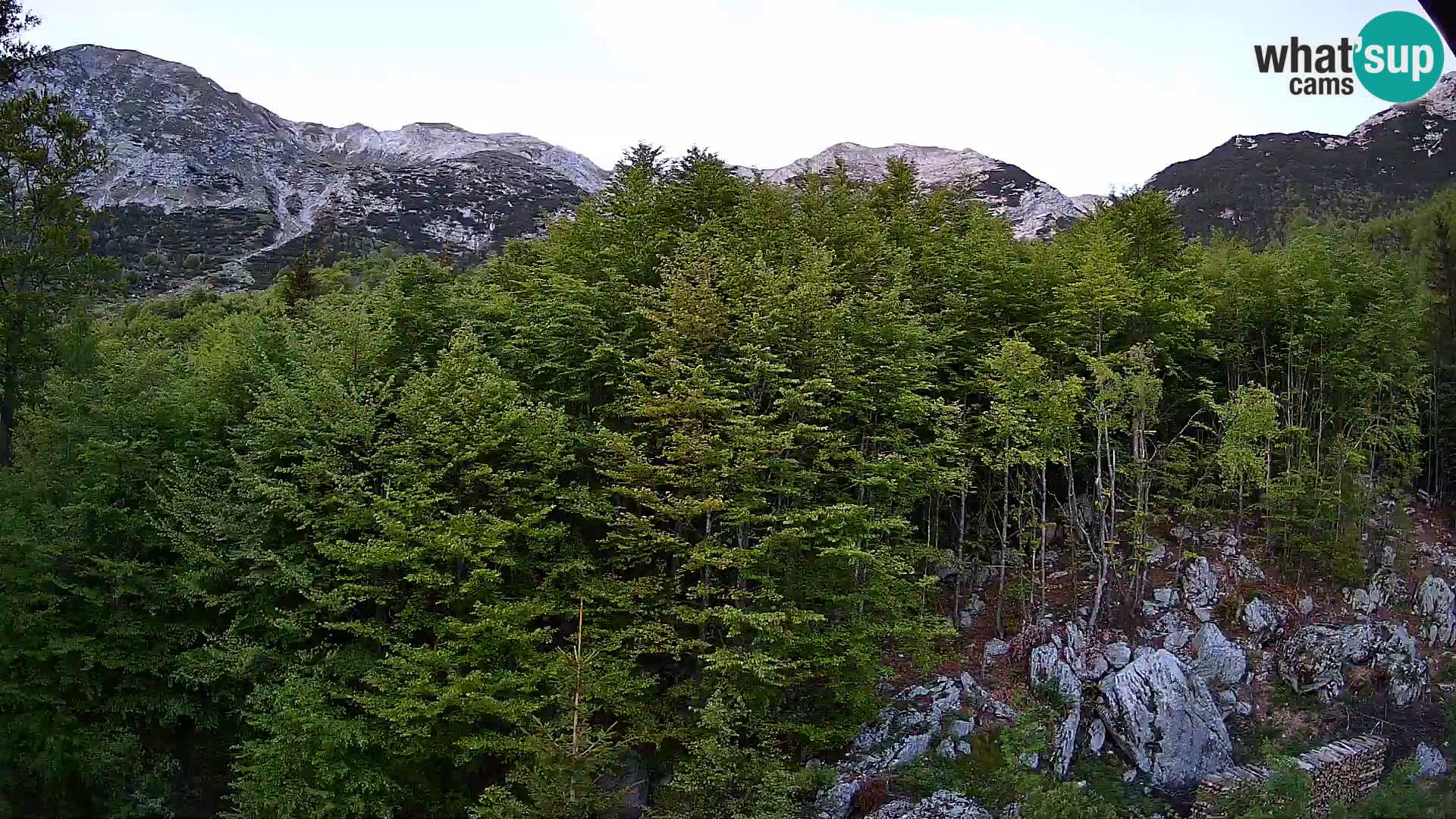 PLANINA RAZOR web kamera (1315) | pogled na Vogel i Globoko
