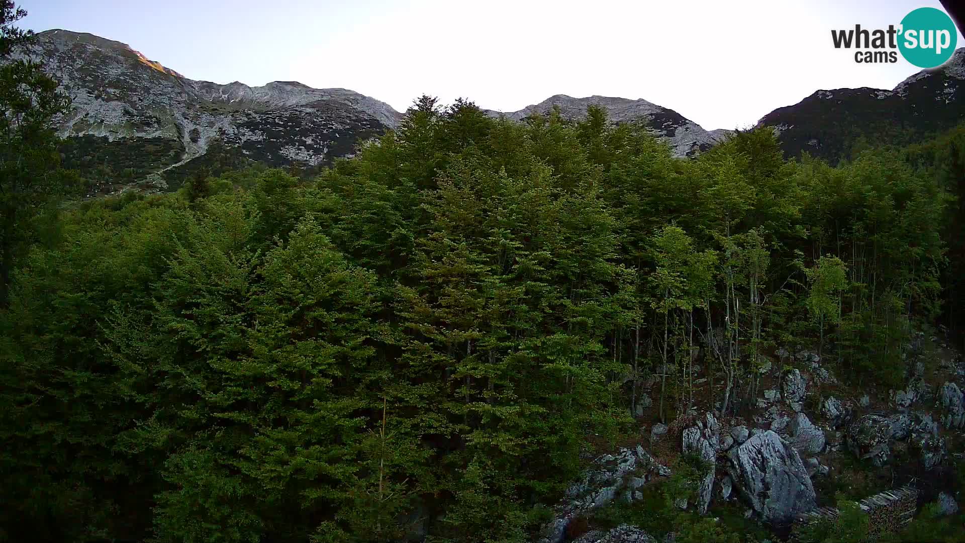 PLANINA RAZOR Live Cam (1315) | vista su Vogel e Globoko