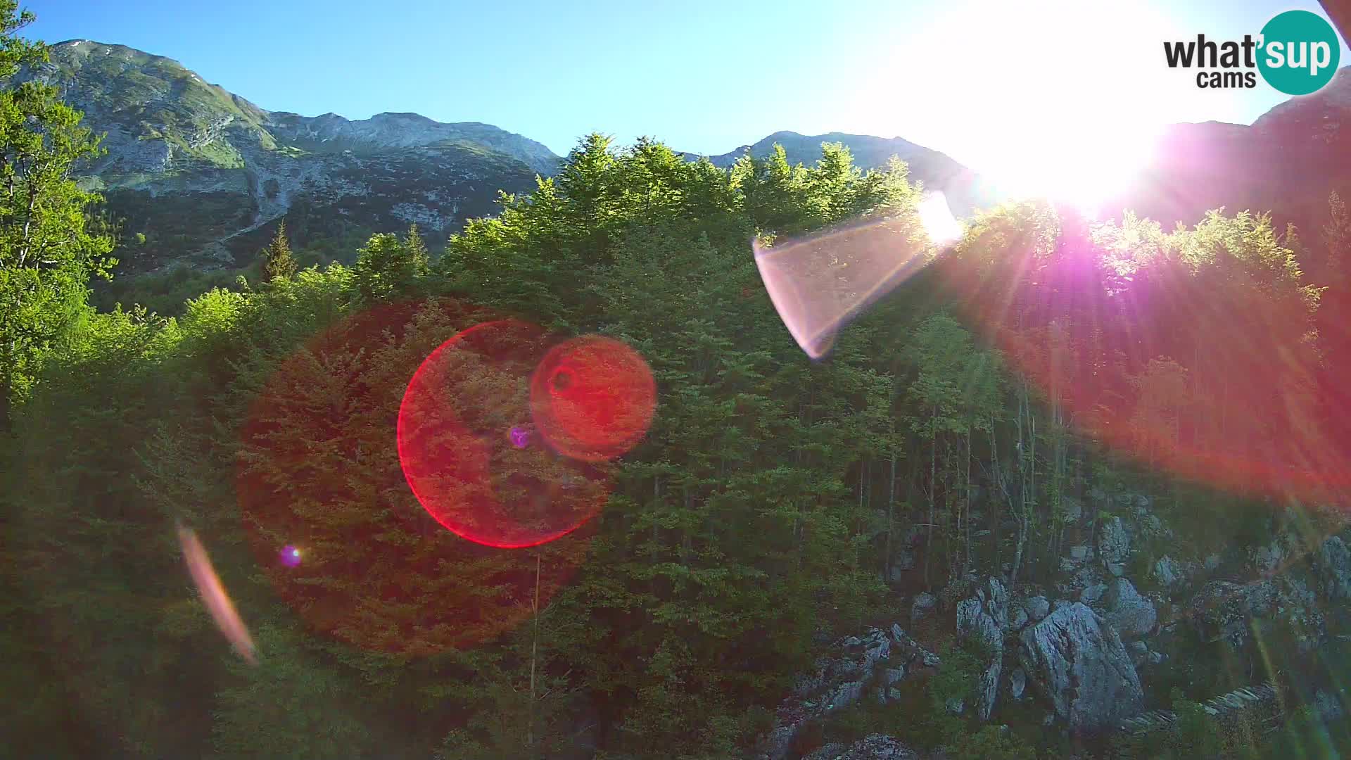 Cámara web PLANINA RAZOR (1315) | vista a Vogel y Globoko