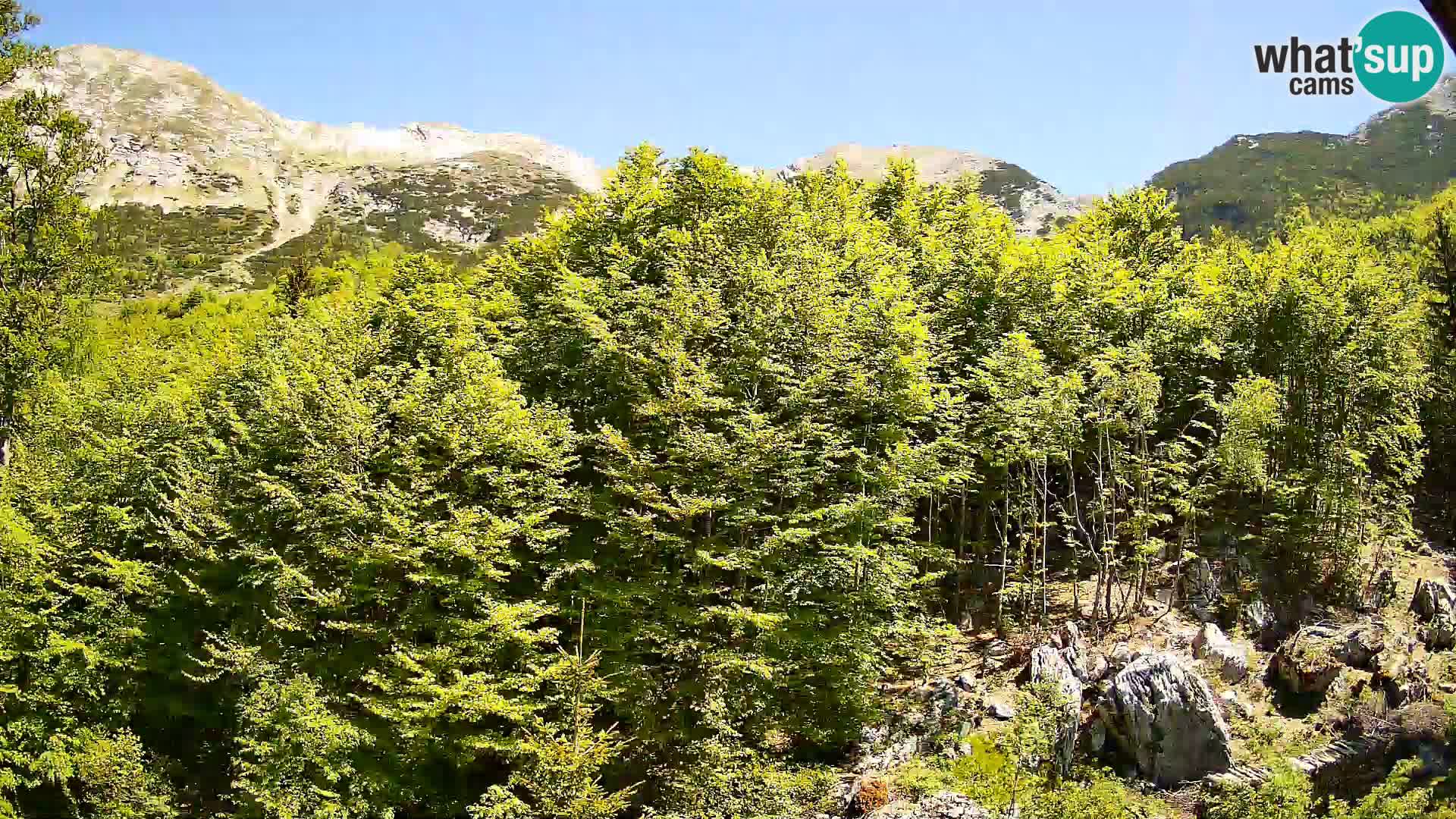 PLANINA RAZOR webcam (1315) | view to Vogel and Globoko