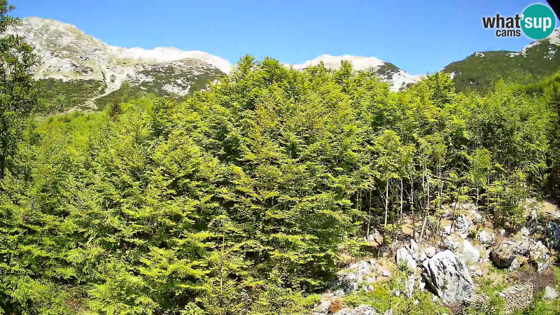 PLANINA RAZOR webcam (1315) | view to Vogel and Globoko