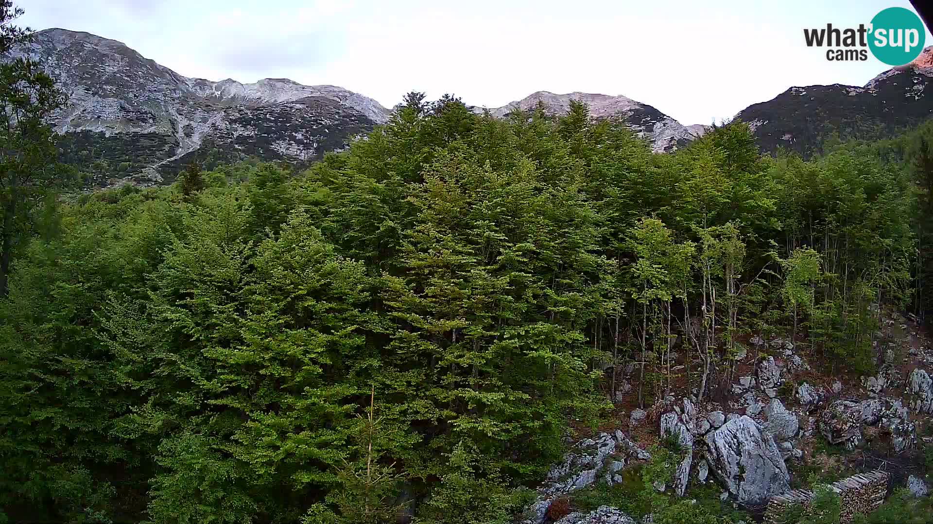PLANINA RAZOR kamera (1315) | pogled na Vogel in Globoko