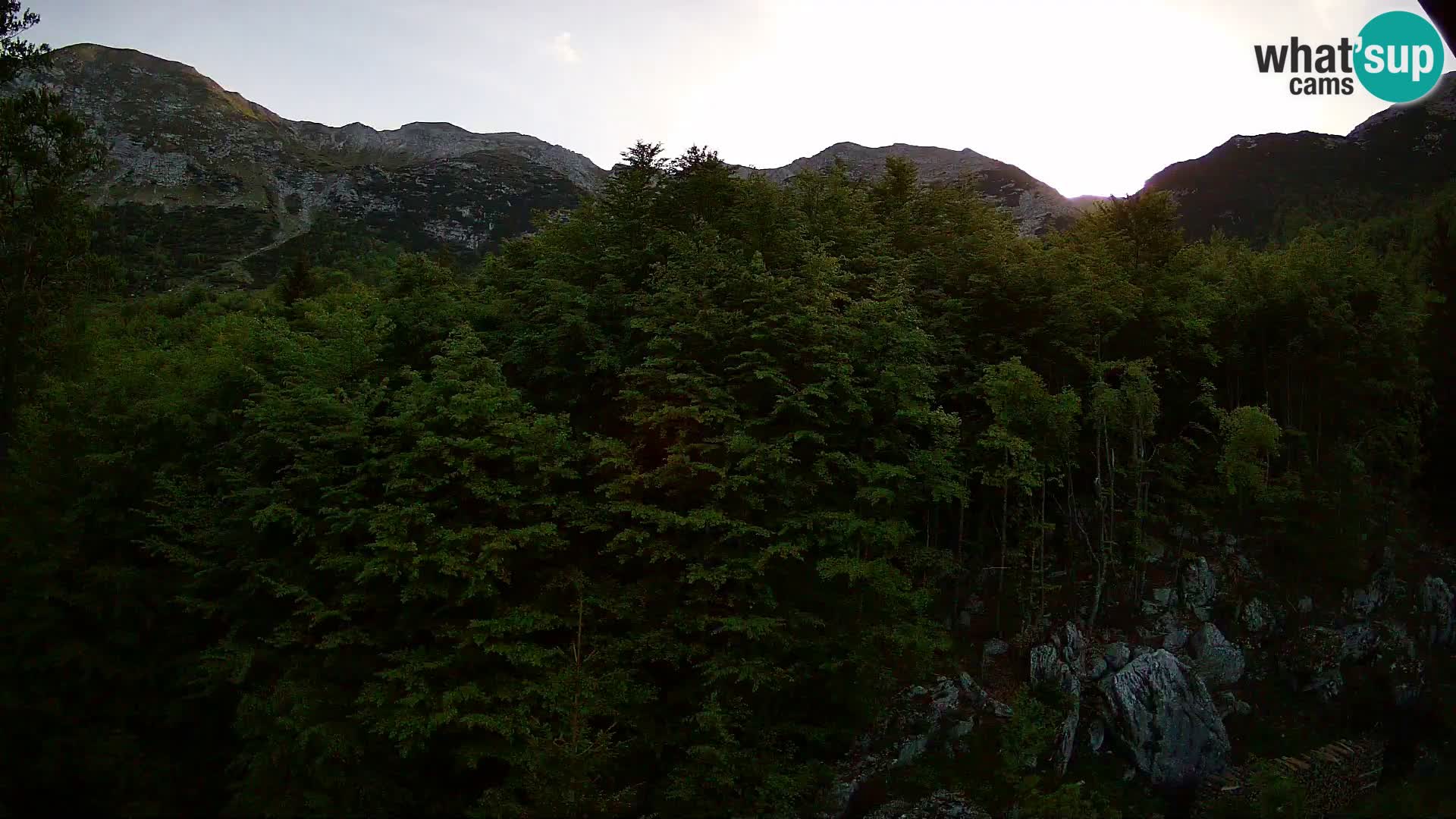 Livecam PLANINA RAZOR (1315) | vue sur Vogel et Globoko
