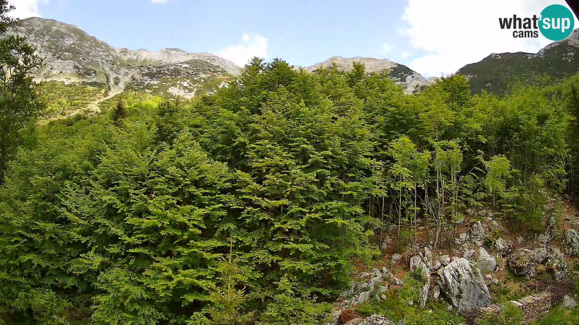 Cámara web PLANINA RAZOR (1315) | vista a Vogel y Globoko