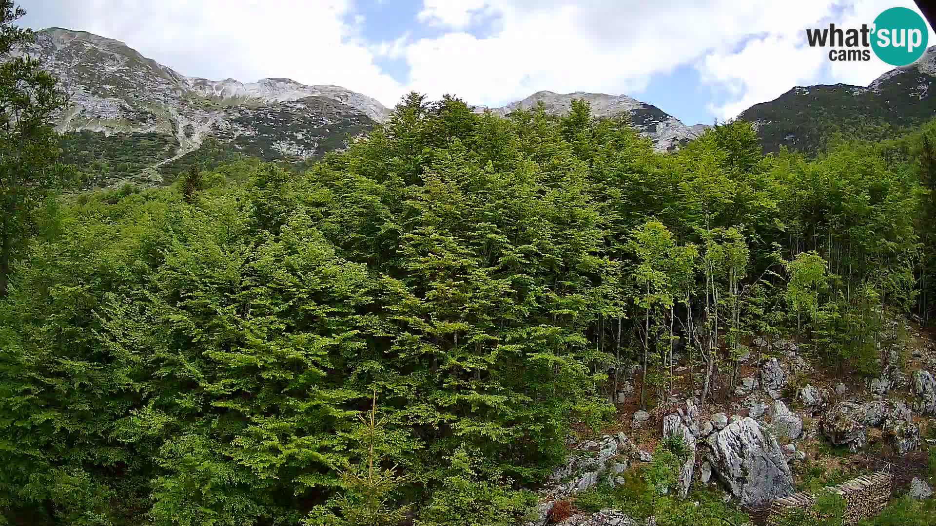 Livecam PLANINA RAZOR (1315) | vue sur Vogel et Globoko
