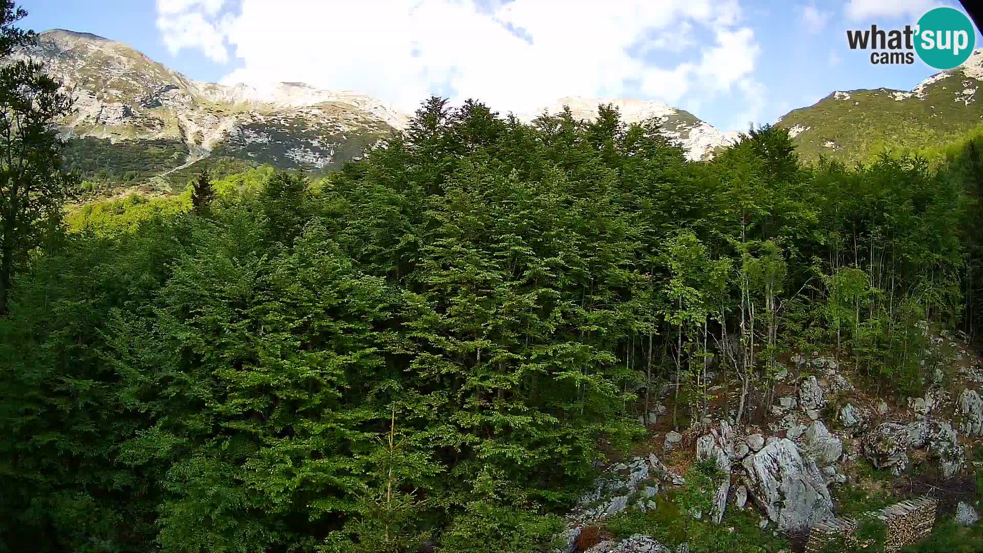 Livecam PLANINA RAZOR (1315) | vue sur Vogel et Globoko