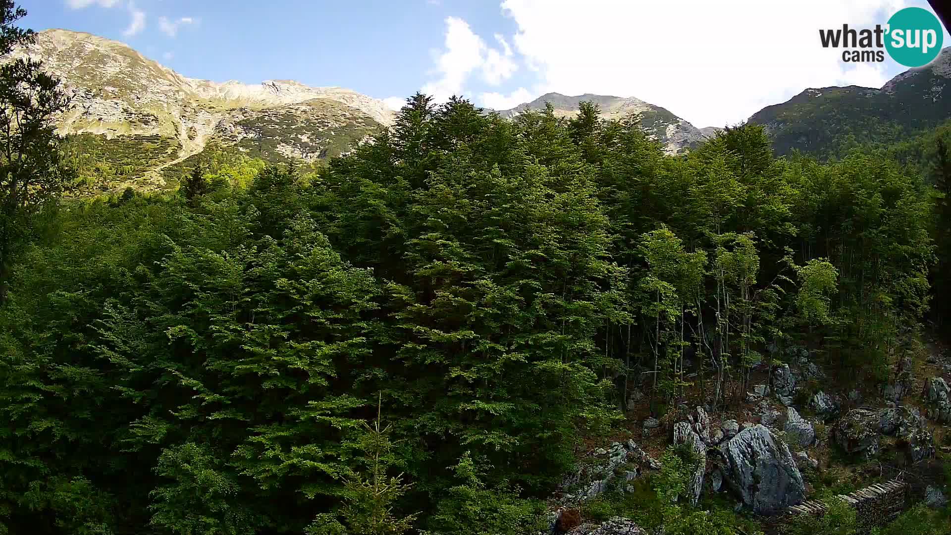 PLANINA RAZOR webcam (1315) | view to Vogel and Globoko