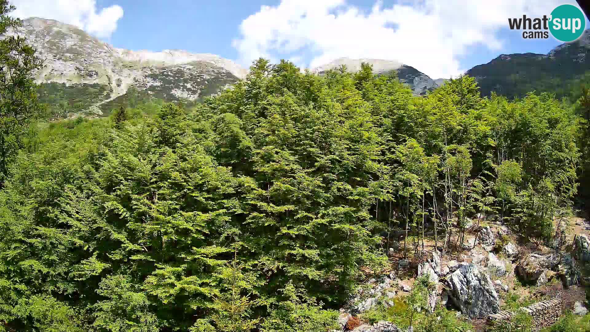 Webcam PLANINA RAZOR (1315) | Blick auf Vogel und Globoko