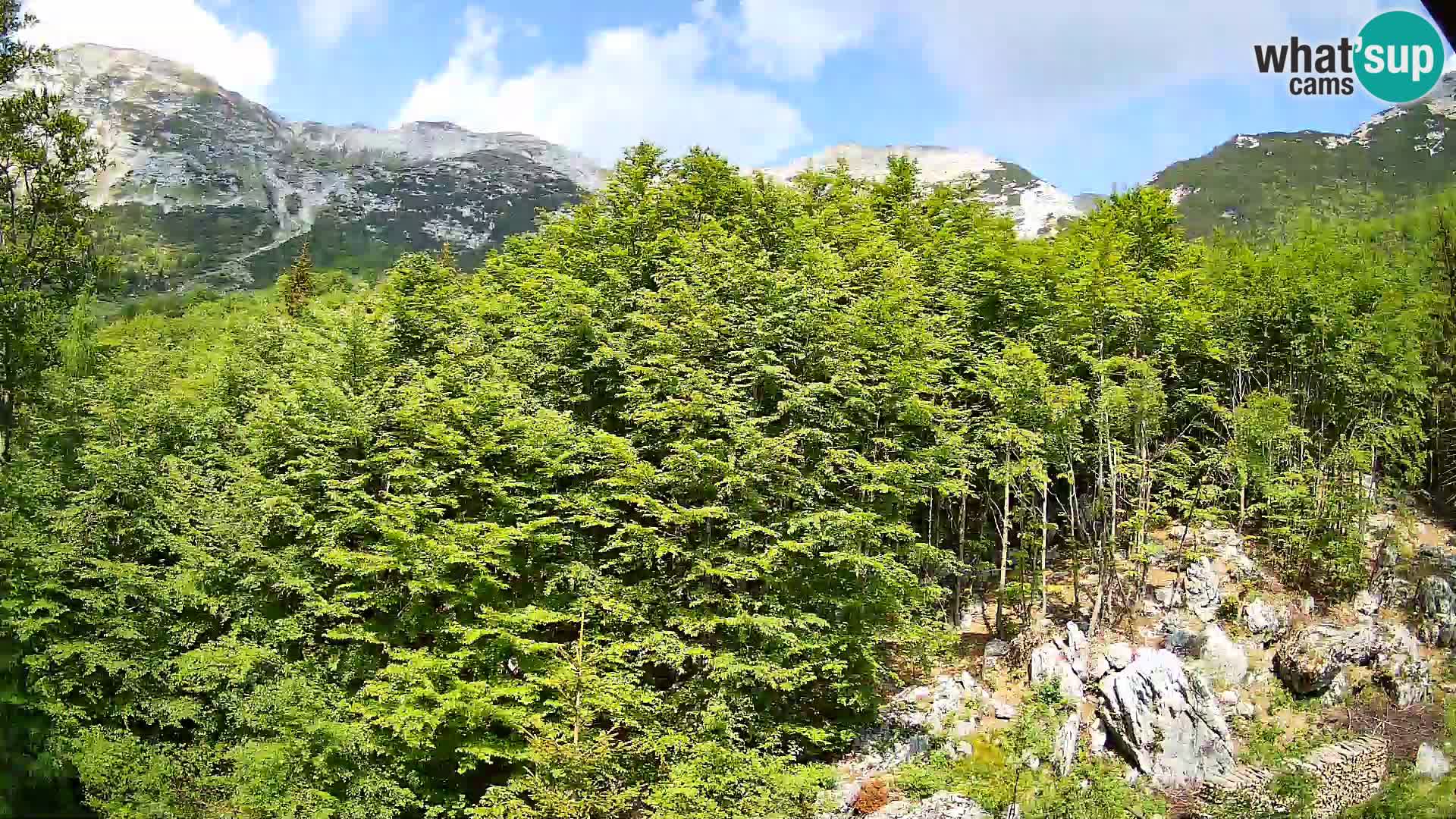 PLANINA RAZOR kamera (1315) | pogled na Vogel in Globoko