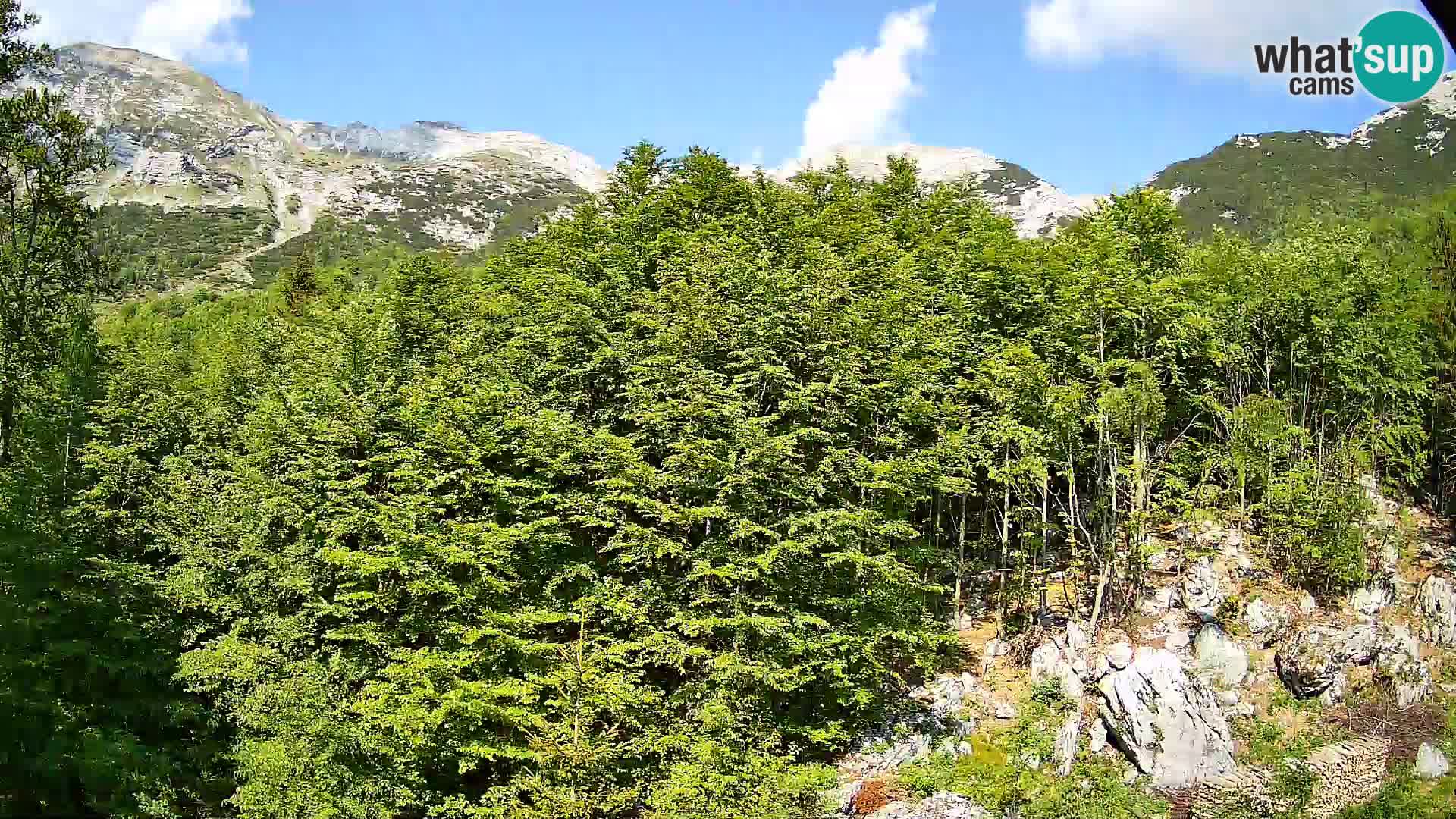 Livecam PLANINA RAZOR (1315) | vue sur Vogel et Globoko