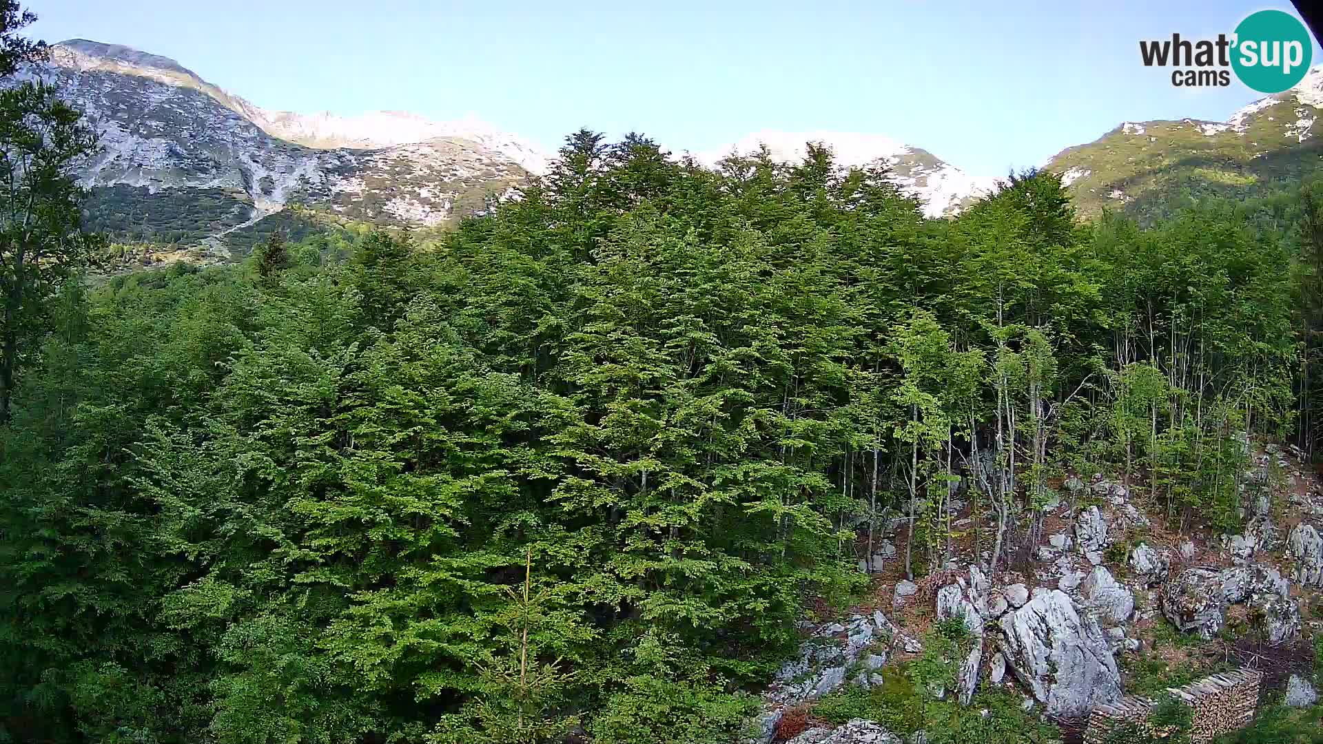 PLANINA RAZOR Live Cam (1315) | vista su Vogel e Globoko