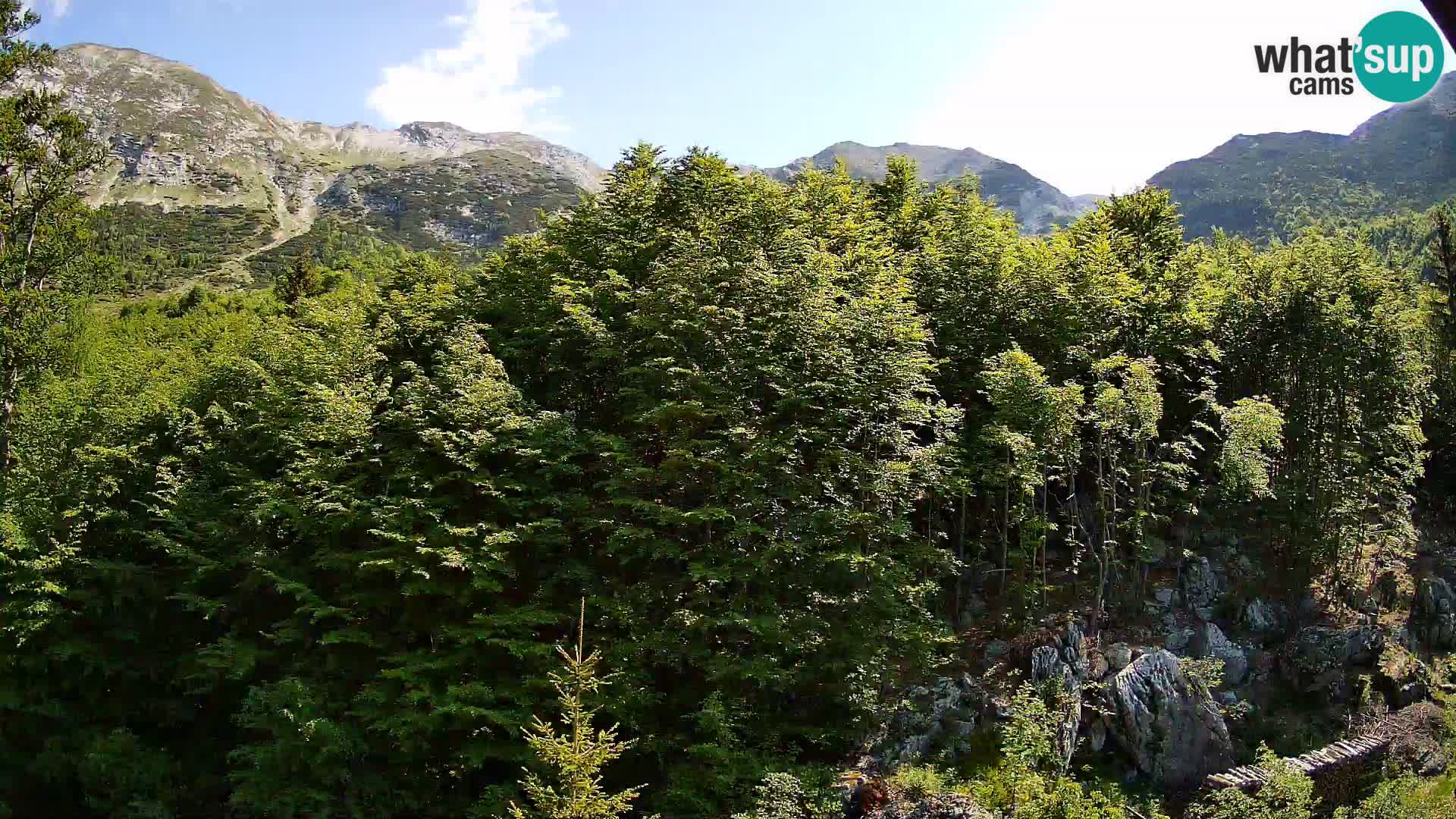 PLANINA RAZOR webcam (1315) | view to Vogel and Globoko