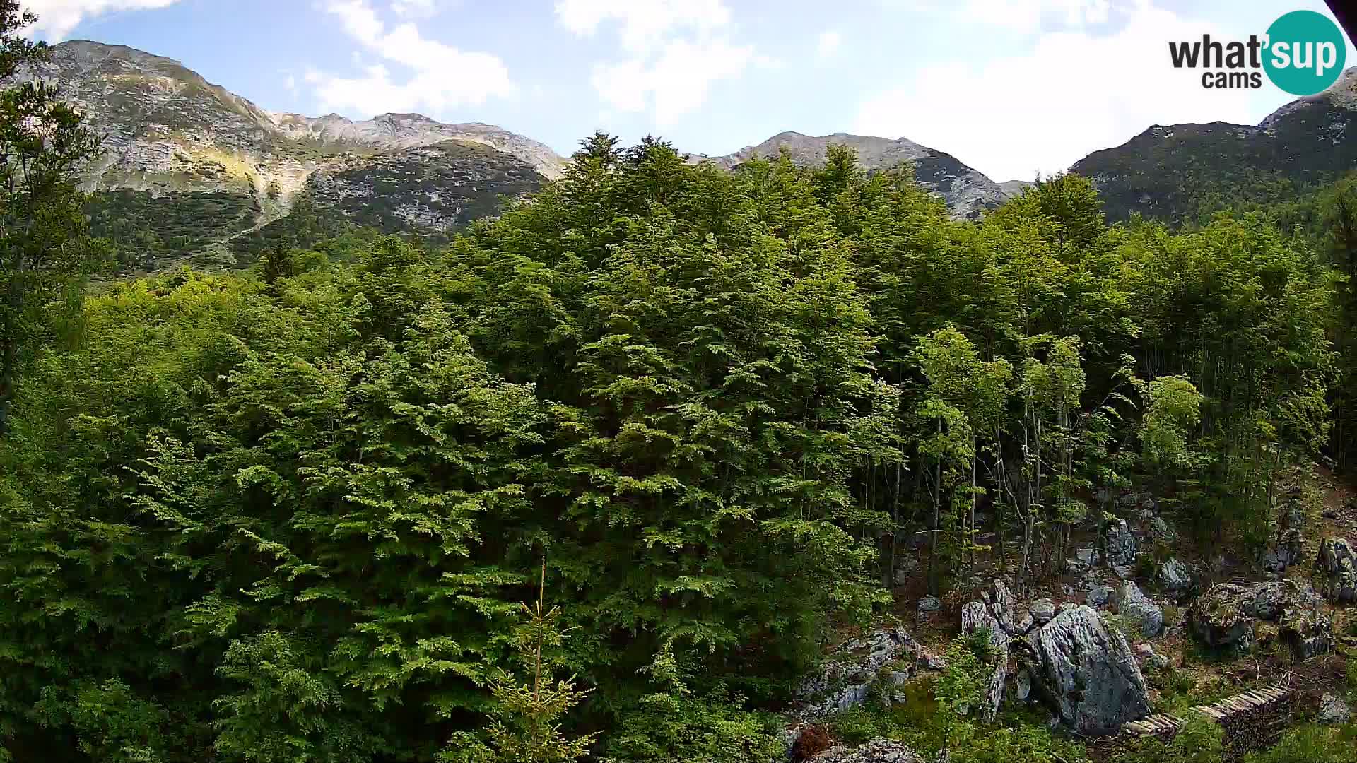 PLANINA RAZOR webcam (1315) | view to Vogel and Globoko