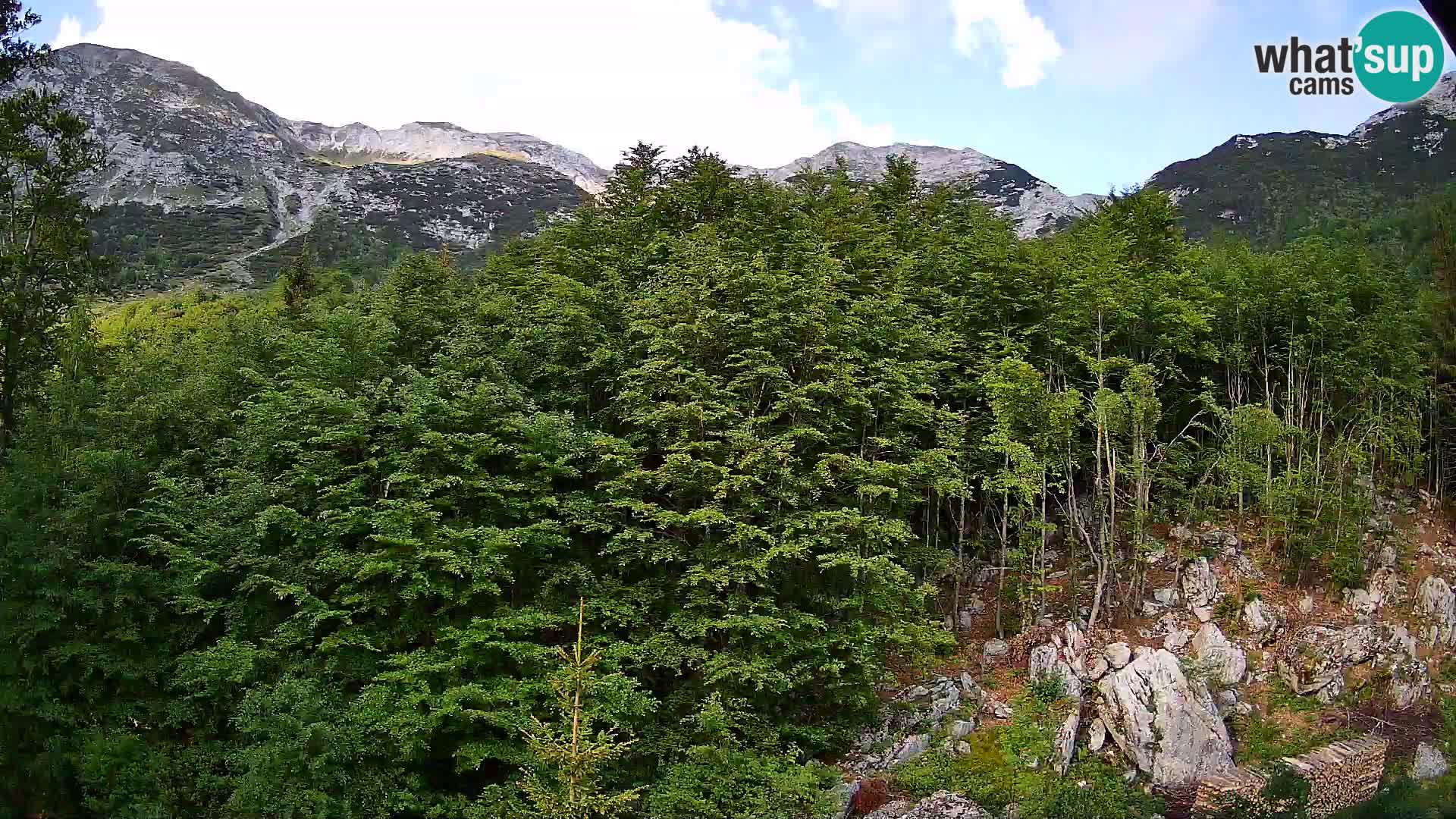 Webcam PLANINA RAZOR (1315) | Blick auf Vogel und Globoko