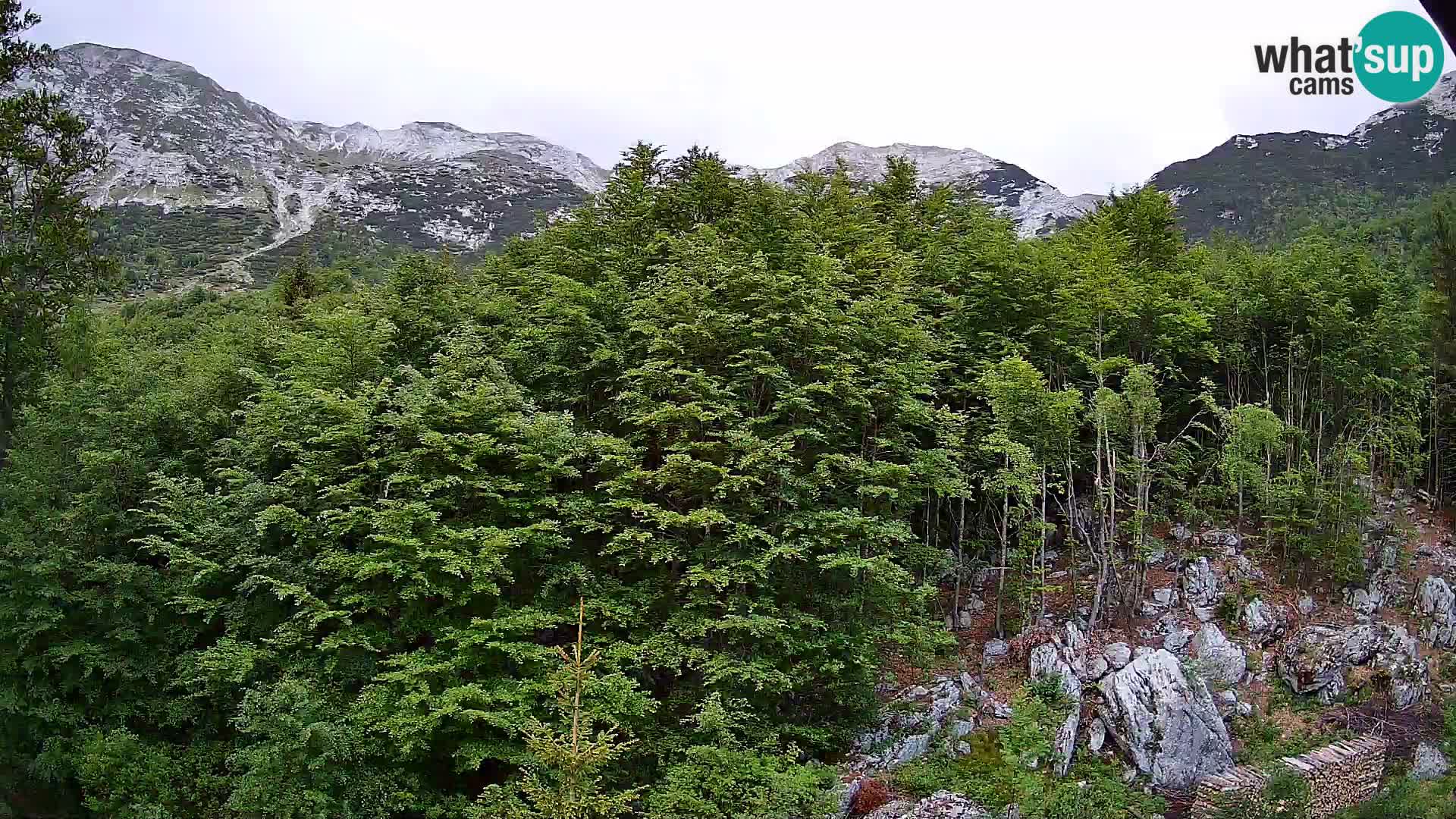 Webcam PLANINA RAZOR (1315) | Blick auf Vogel und Globoko