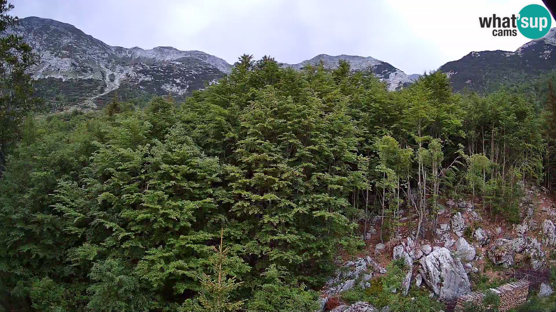 Webcam PLANINA RAZOR (1315) | Blick auf Vogel und Globoko