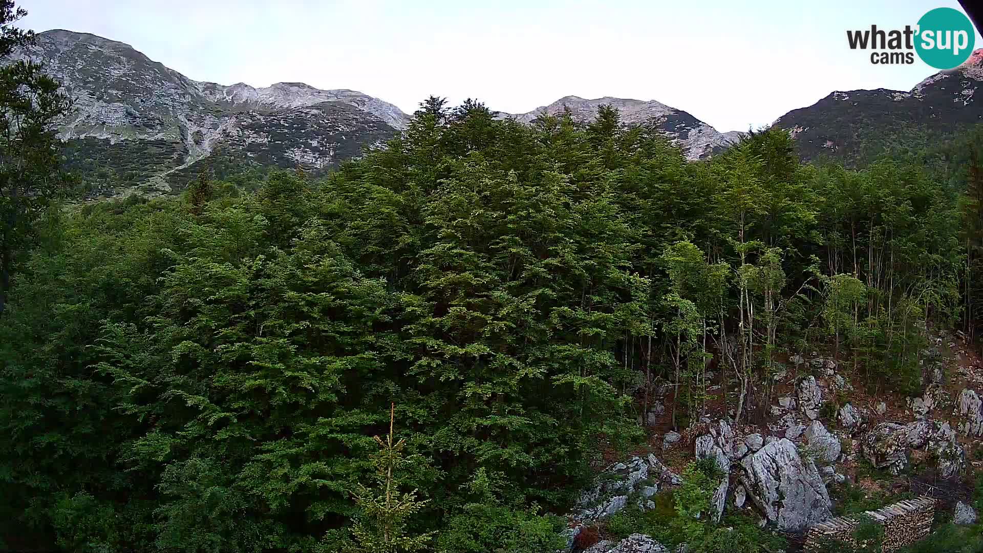 PLANINA RAZOR Live Cam (1315) | vista su Vogel e Globoko