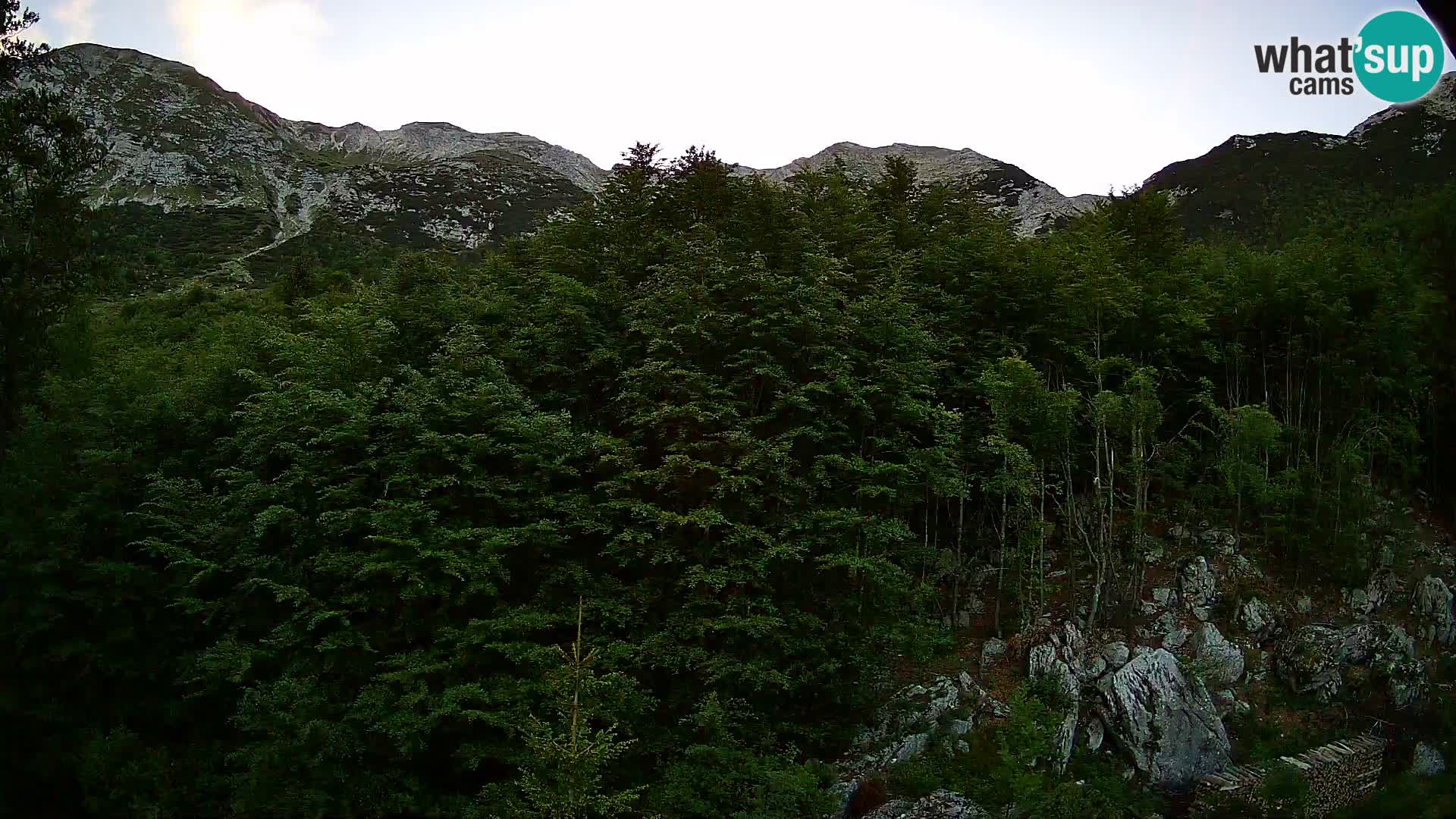 PLANINA RAZOR webcam (1315) | view to Vogel and Globoko