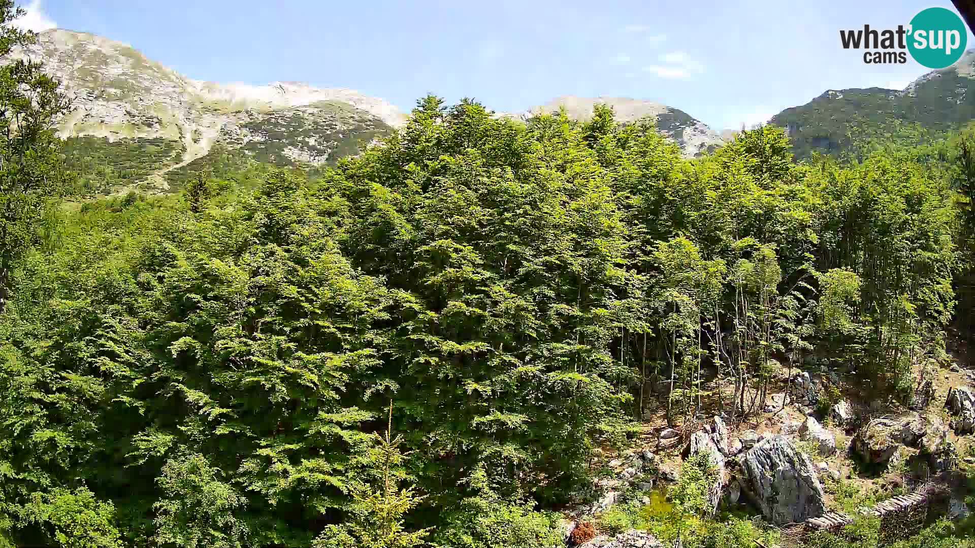 Cámara web PLANINA RAZOR (1315) | vista a Vogel y Globoko