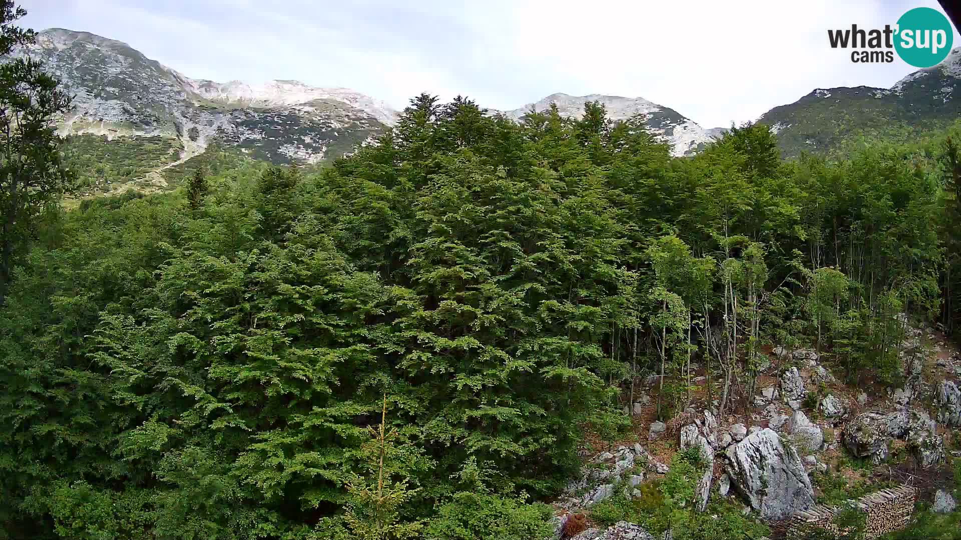 Cámara web PLANINA RAZOR (1315) | vista a Vogel y Globoko