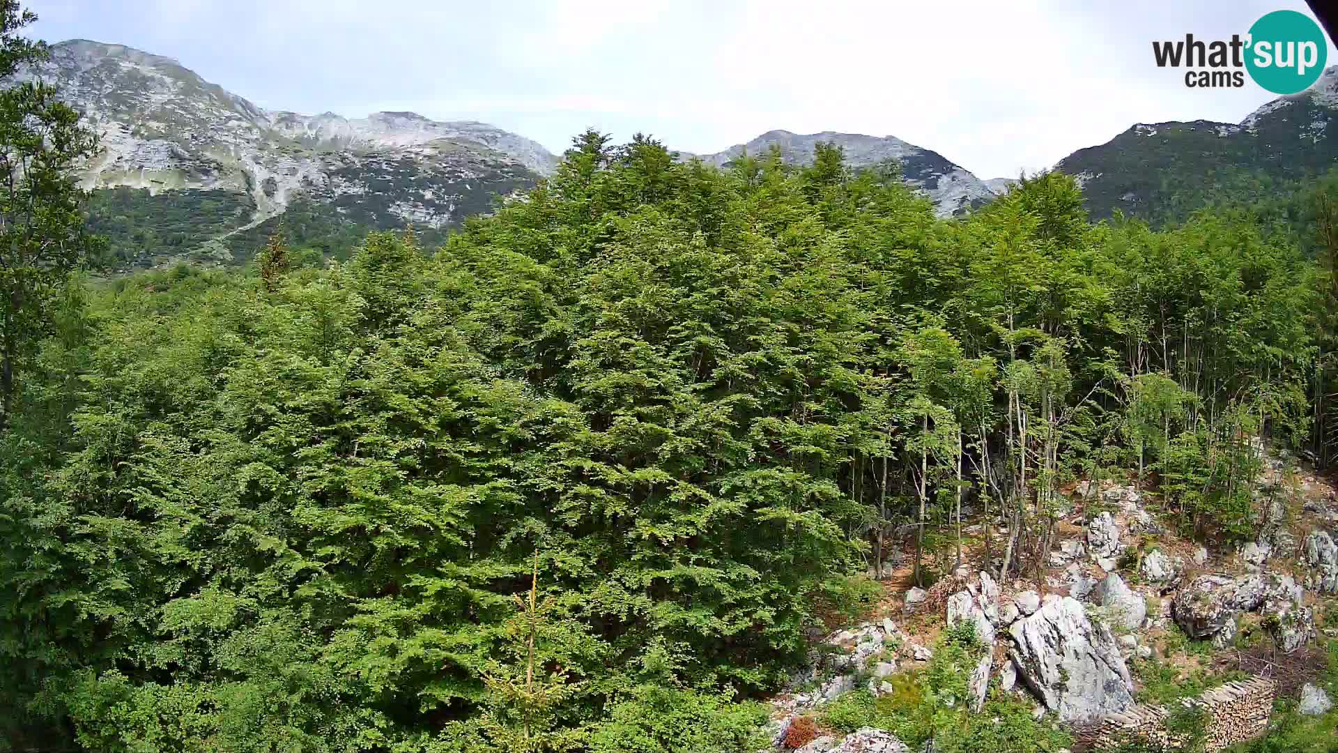 PLANINA RAZOR web kamera (1315) | pogled na Vogel i Globoko