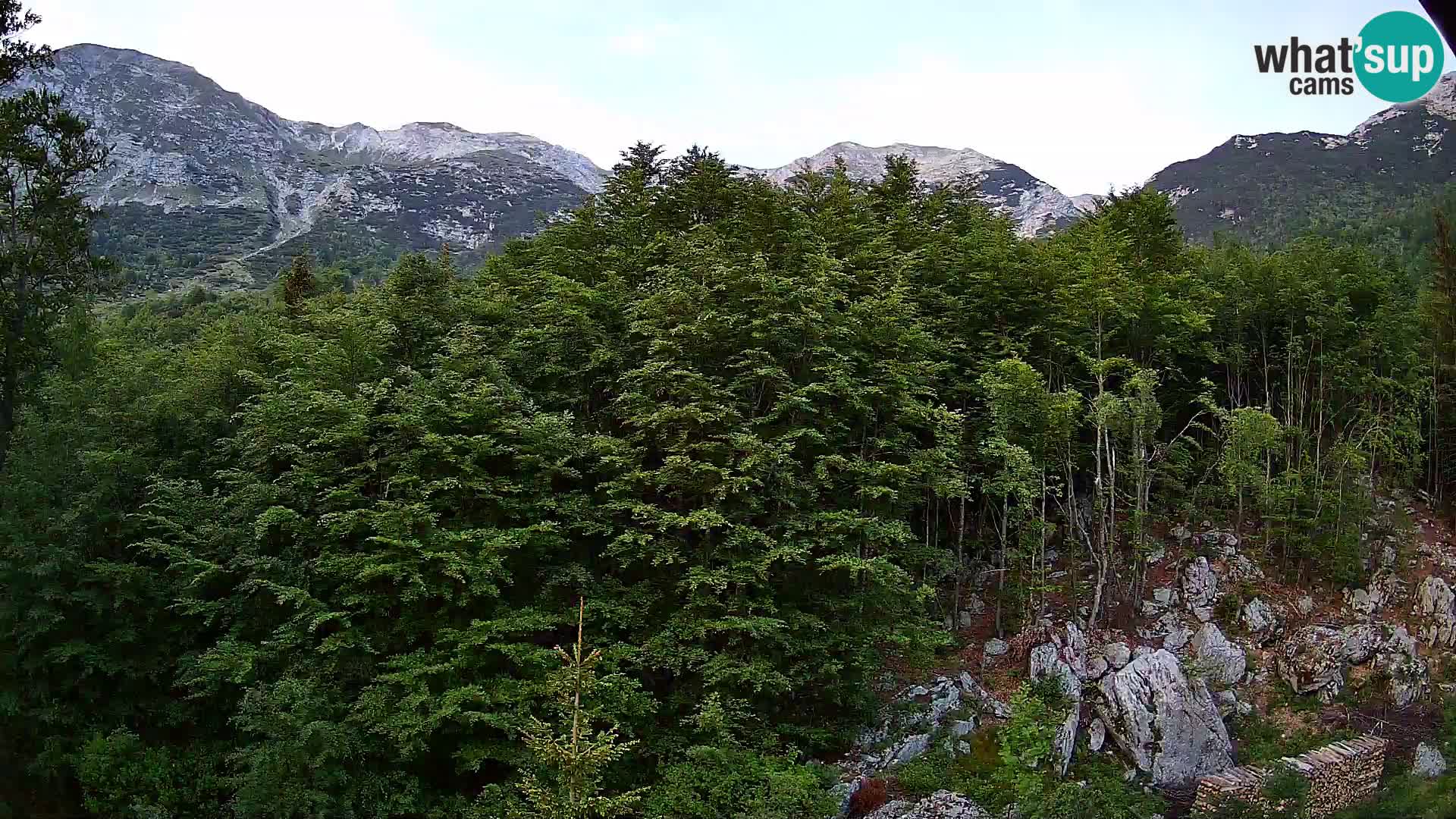 PLANINA RAZOR web kamera (1315) | pogled na Vogel i Globoko
