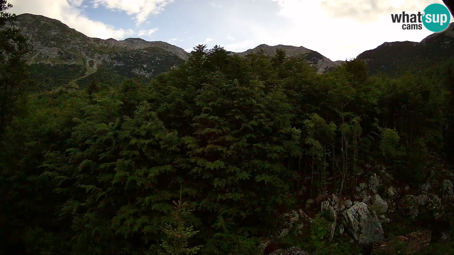 PLANINA RAZOR web kamera (1315) | pogled na Vogel i Globoko