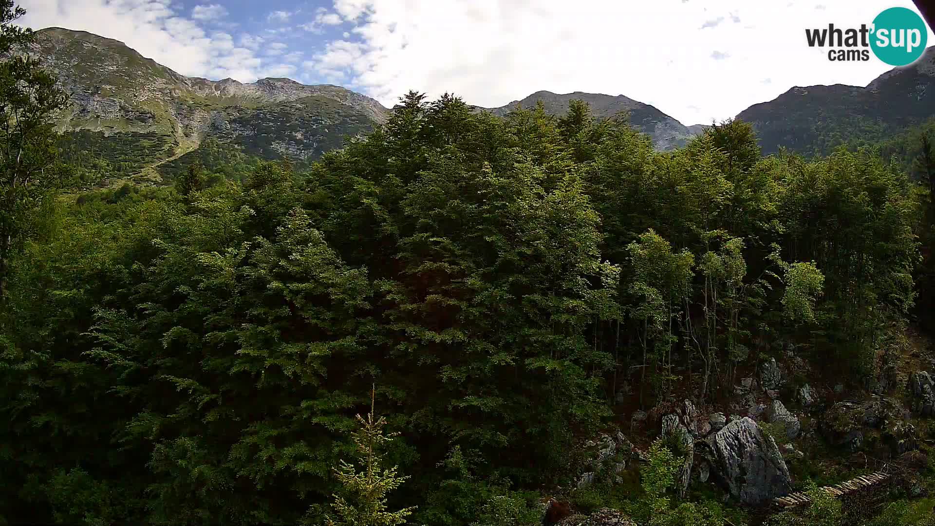 PLANINA RAZOR webcam (1315) | view to Vogel and Globoko