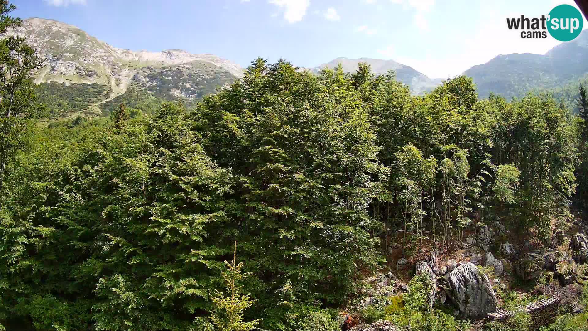 PLANINA RAZOR web kamera (1315) | pogled na Vogel i Globoko