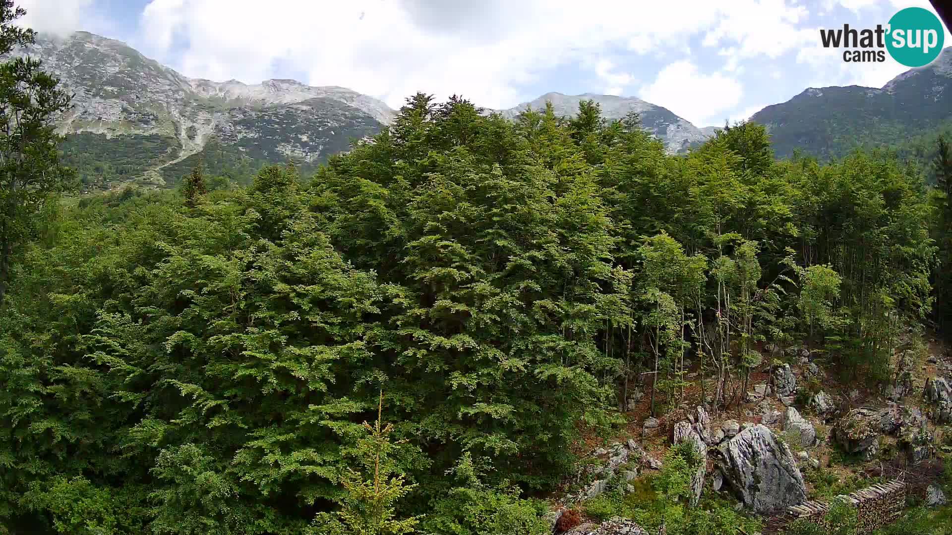 PLANINA RAZOR Live Cam (1315) | vista su Vogel e Globoko