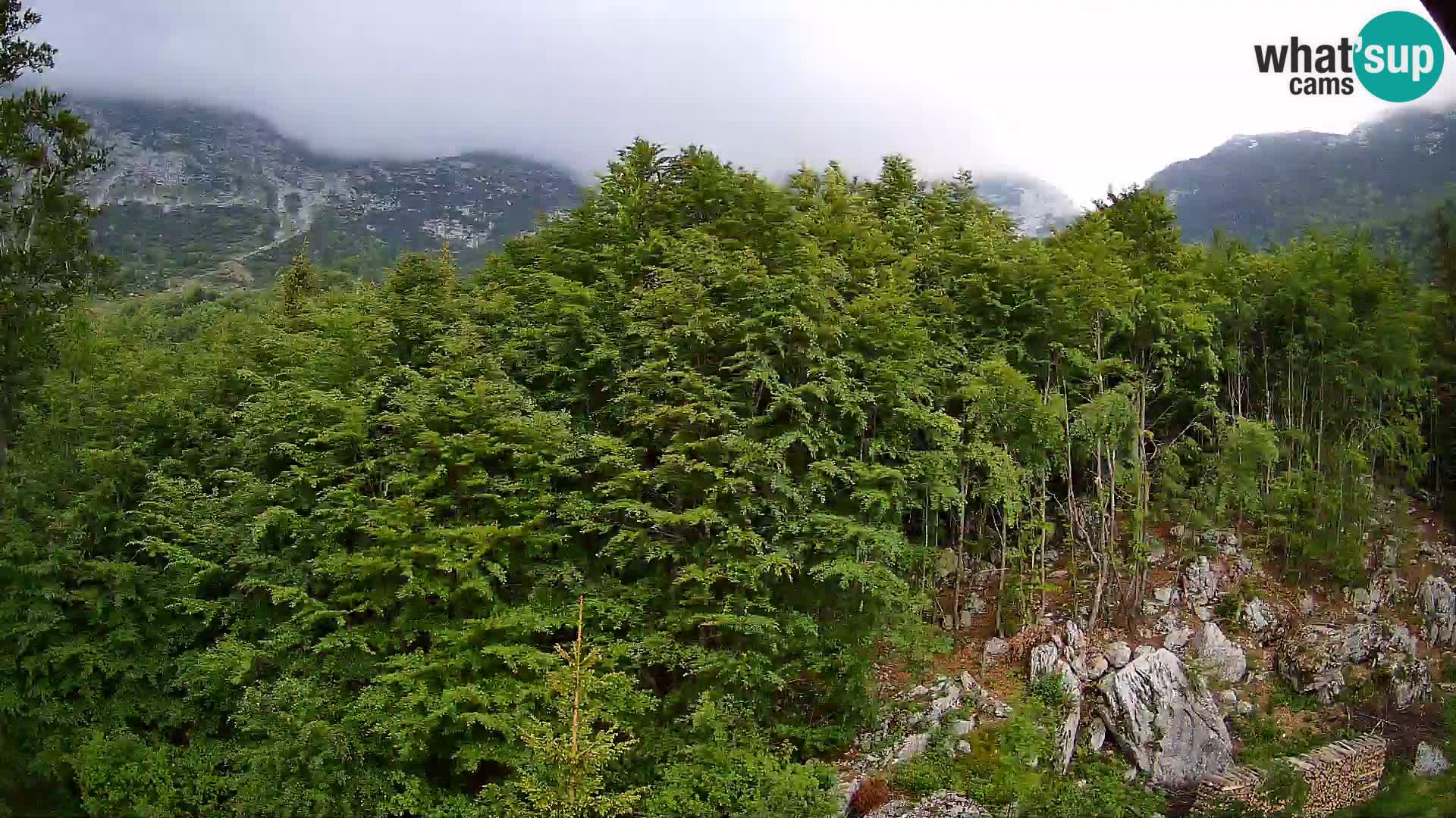 Livecam PLANINA RAZOR (1315) | vue sur Vogel et Globoko