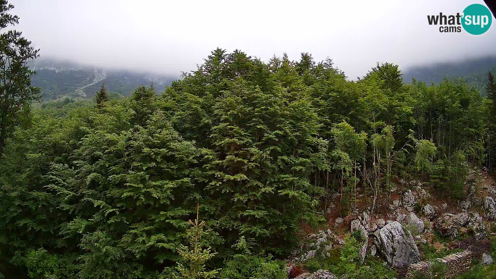Webcam PLANINA RAZOR (1315) | Blick auf Vogel und Globoko