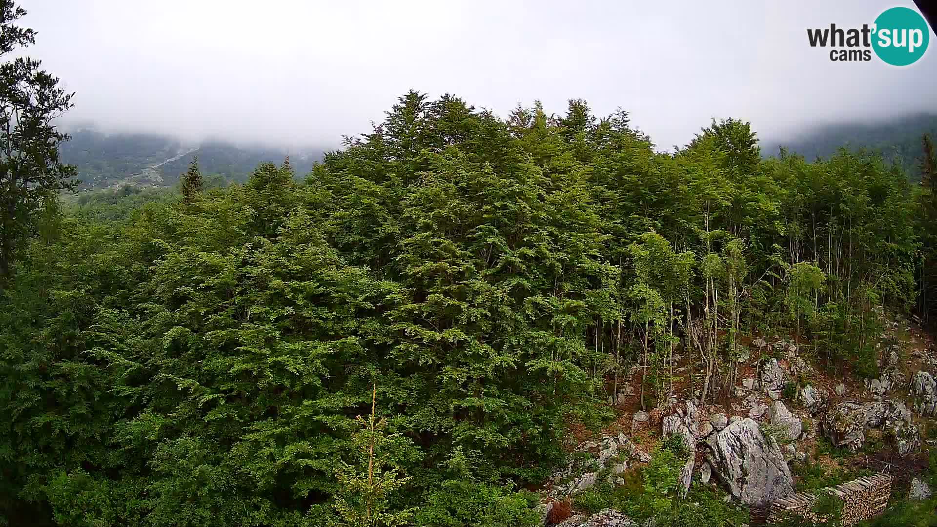 PLANINA RAZOR webcam (1315) | view to Vogel and Globoko