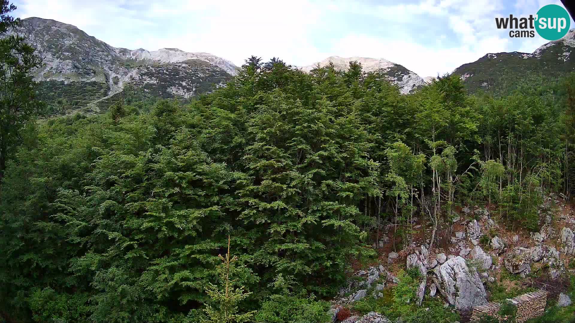 PLANINA RAZOR webcam (1315) | view to Vogel and Globoko
