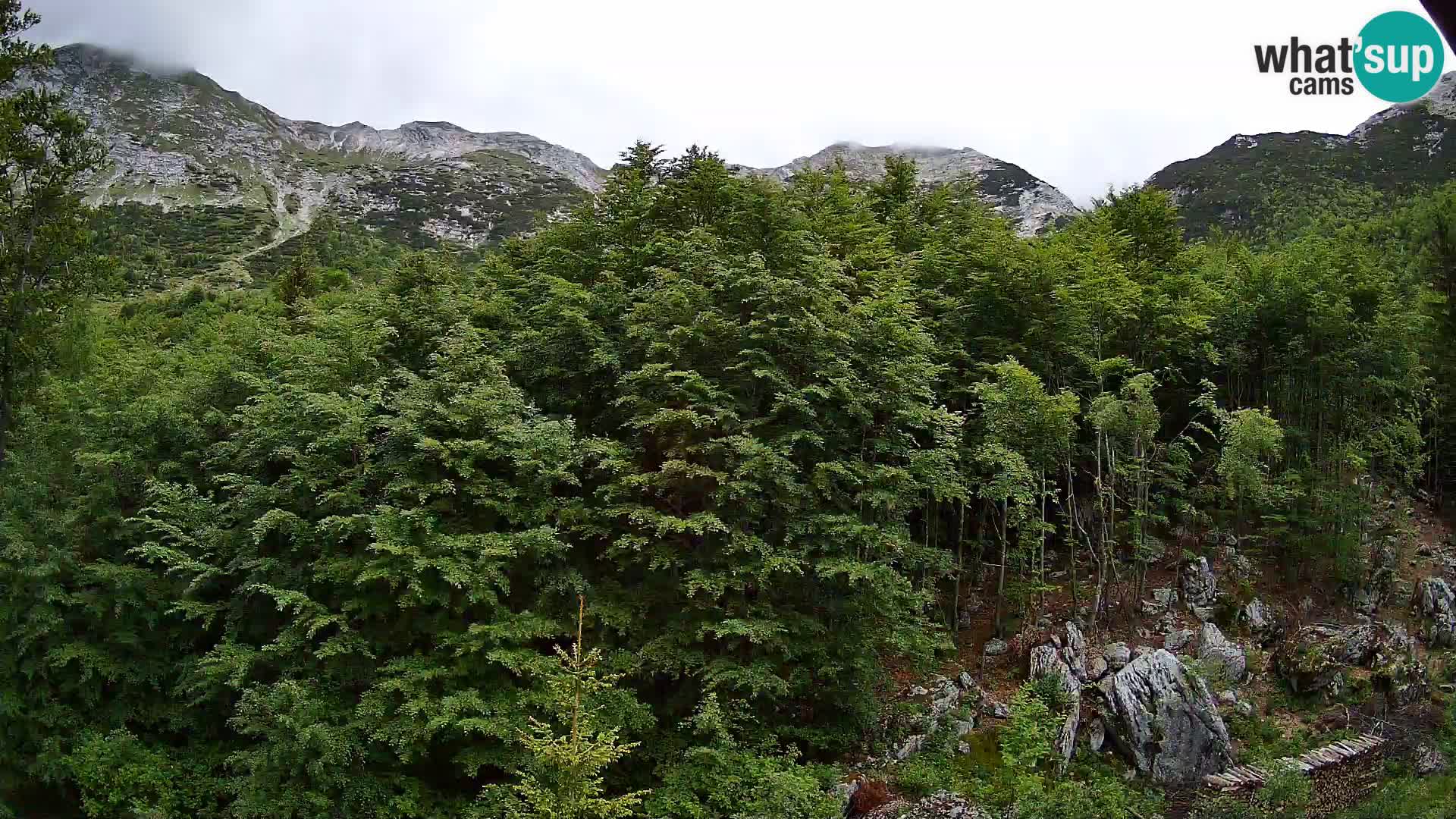 PLANINA RAZOR kamera (1315) | pogled na Vogel in Globoko
