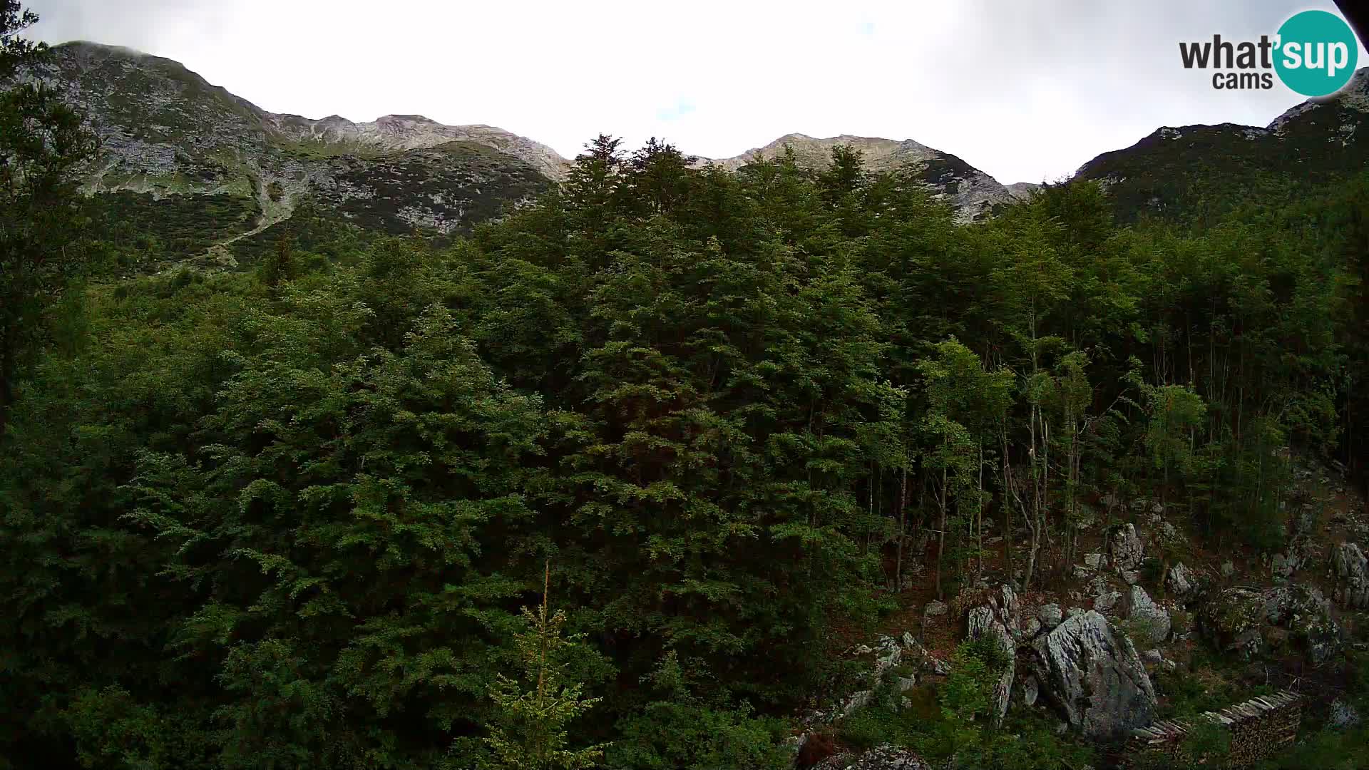 PLANINA RAZOR Live Cam (1315) | vista su Vogel e Globoko