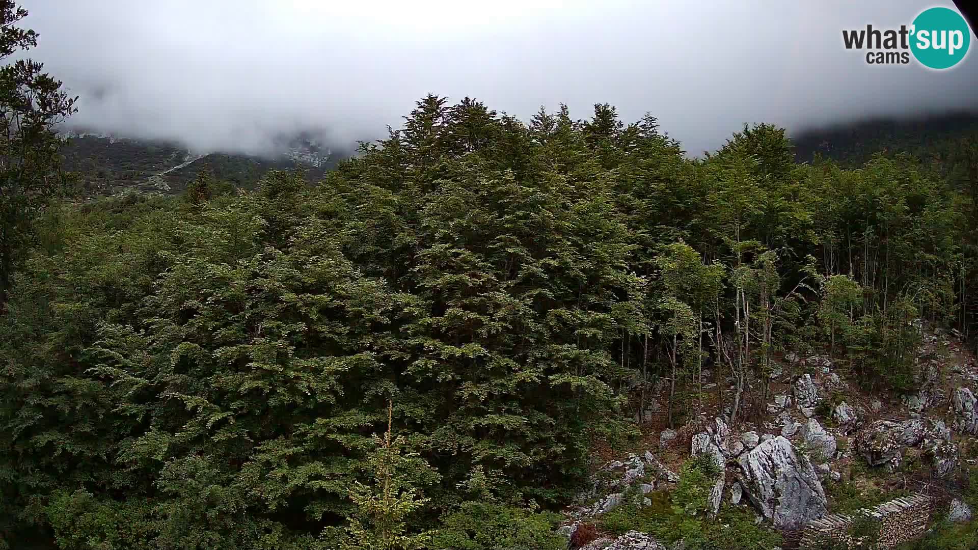 PLANINA RAZOR webcam (1315) | view to Vogel and Globoko
