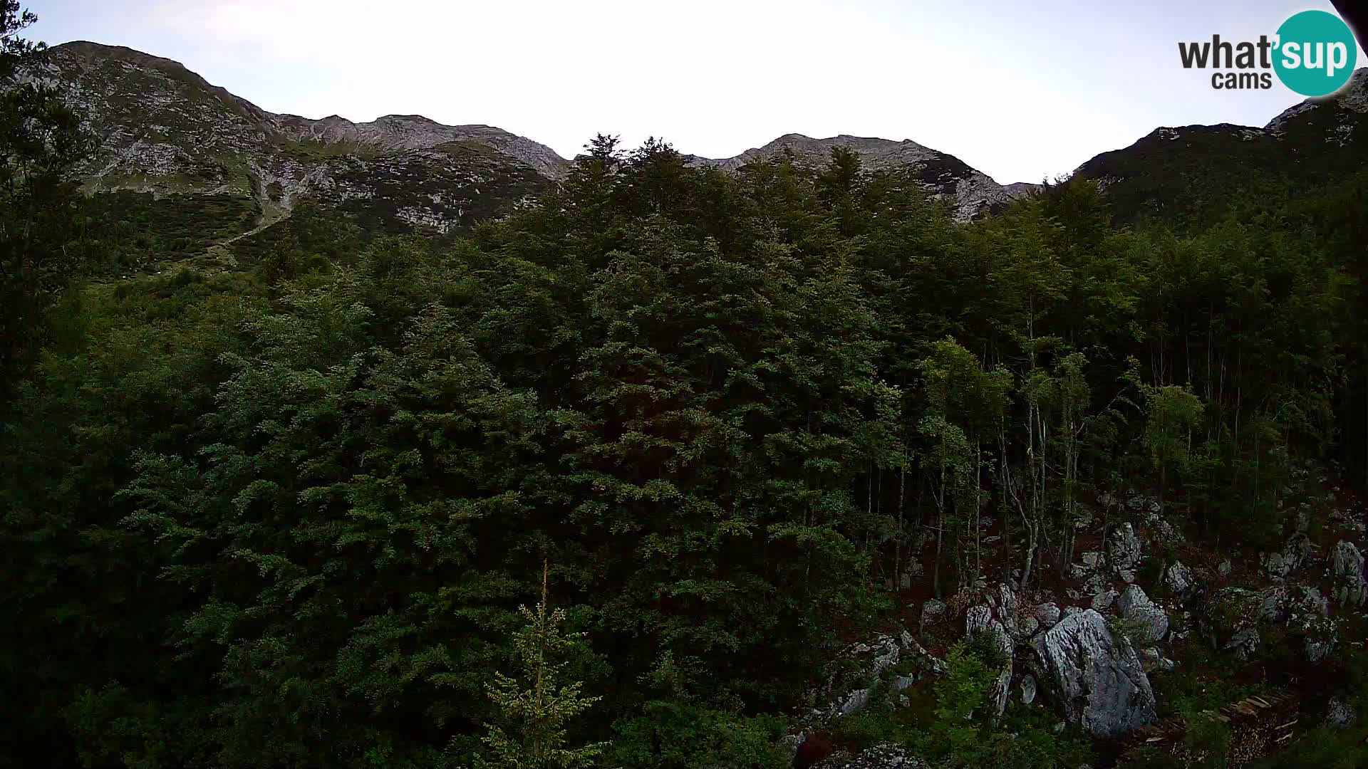 PLANINA RAZOR web kamera (1315) | pogled na Vogel i Globoko