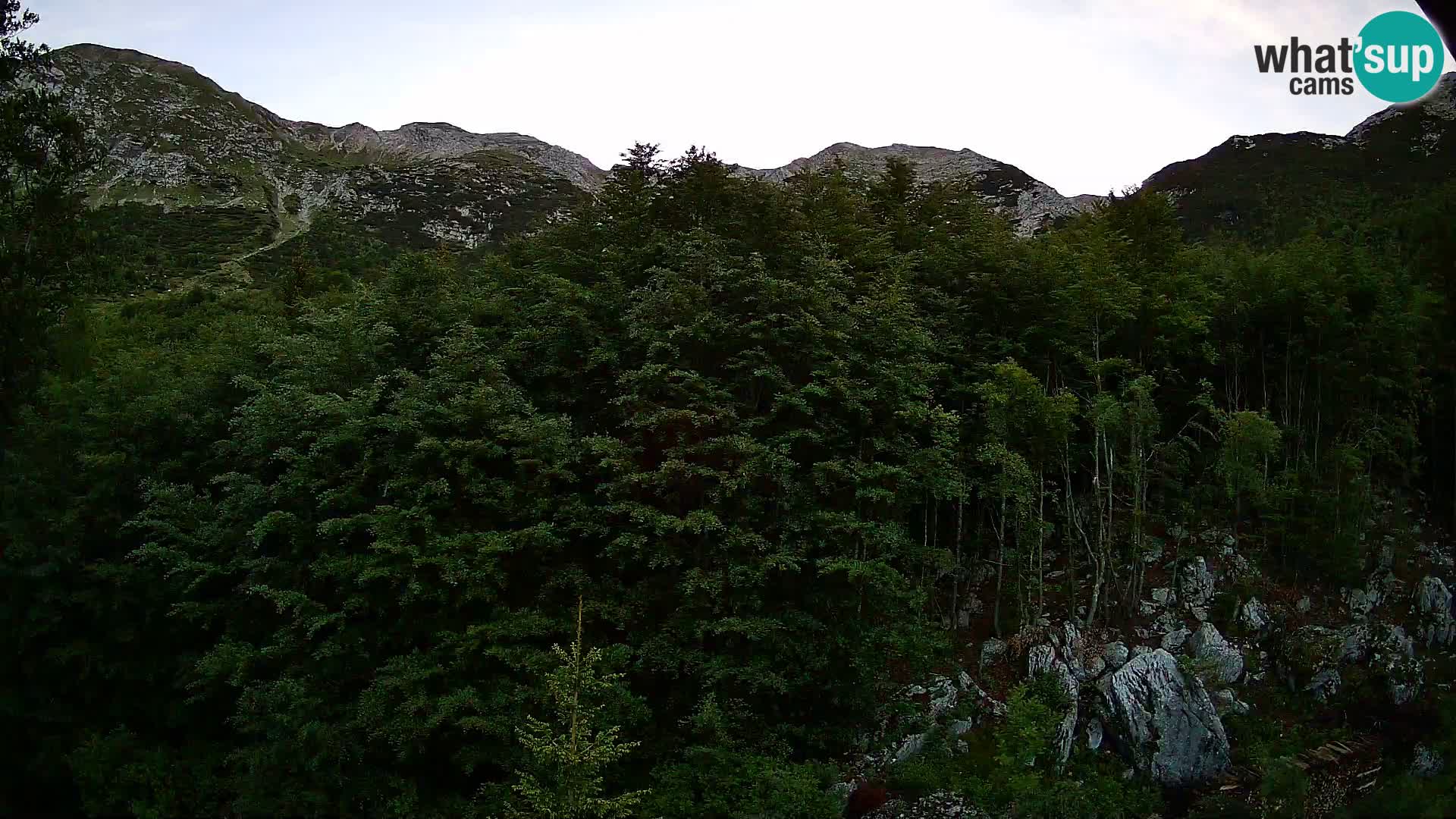 PLANINA RAZOR web kamera (1315) | pogled na Vogel i Globoko