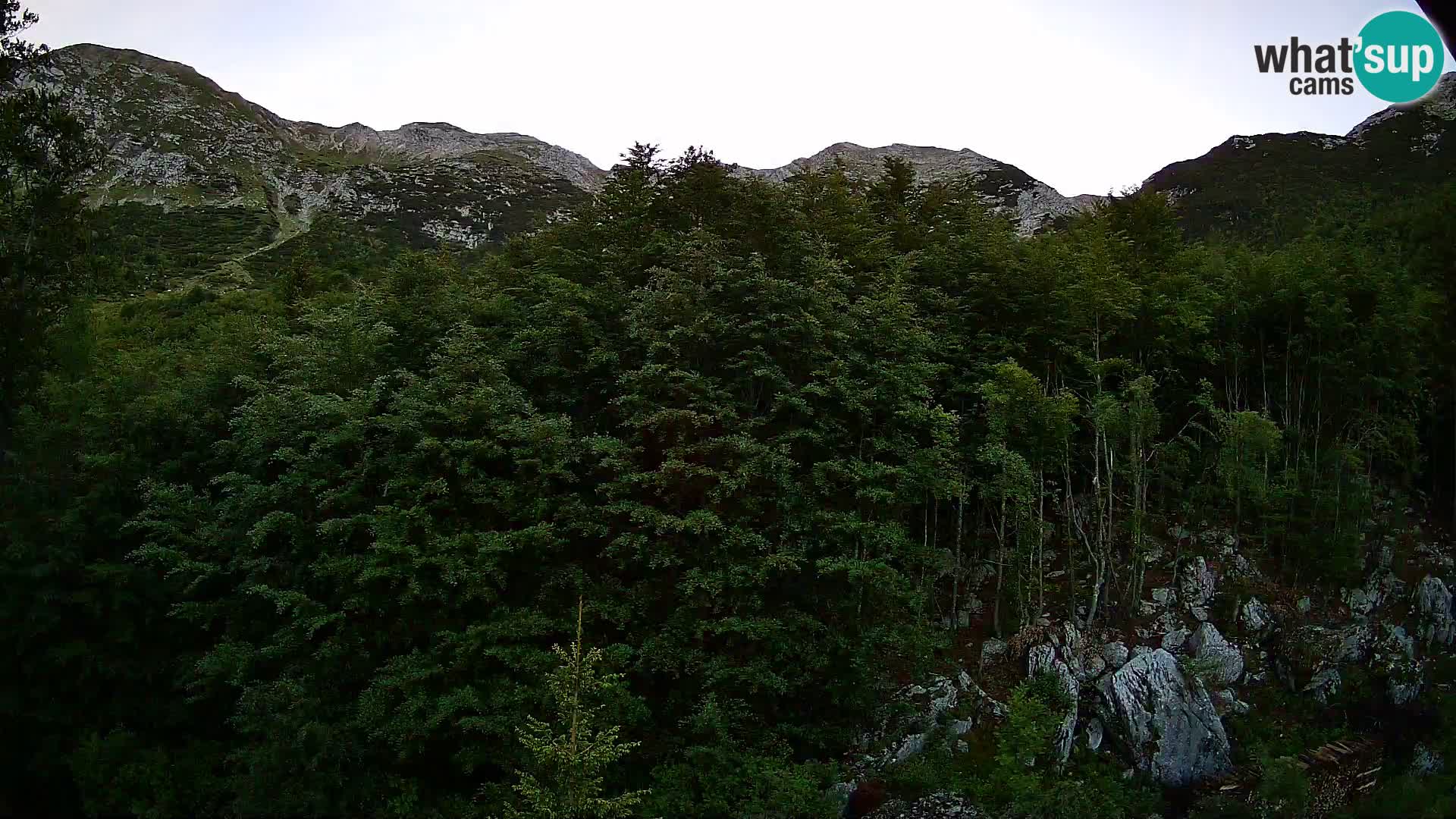 PLANINA RAZOR kamera (1315) | pogled na Vogel in Globoko